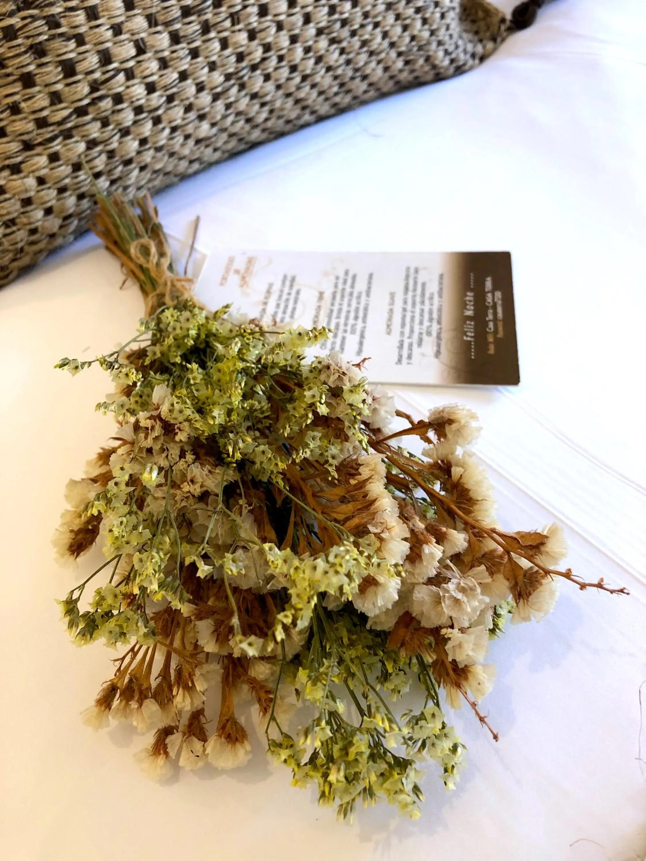 Other in Hotel Casa Terra