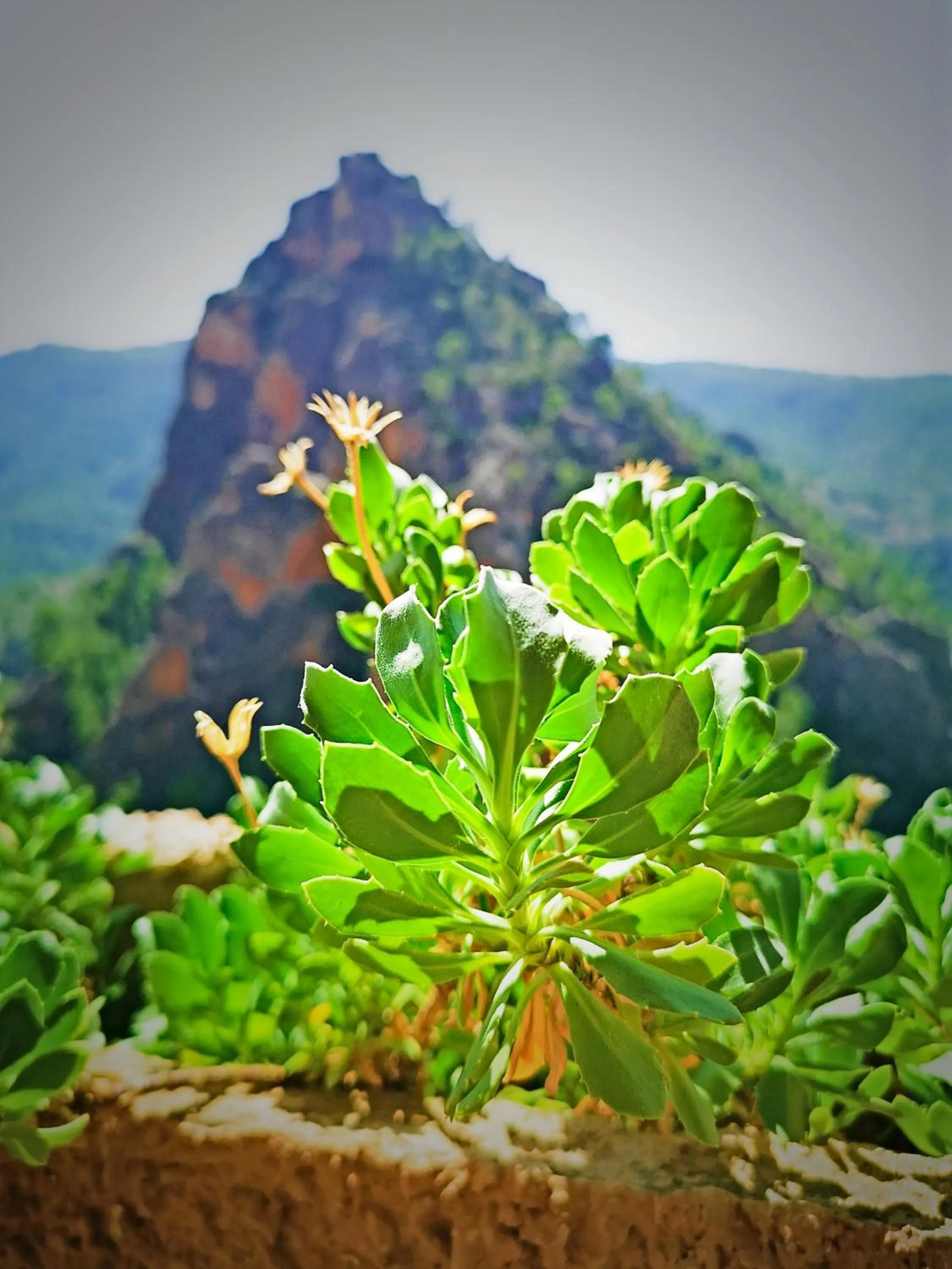Natural landscape in Hotel Restaurante Felipe II