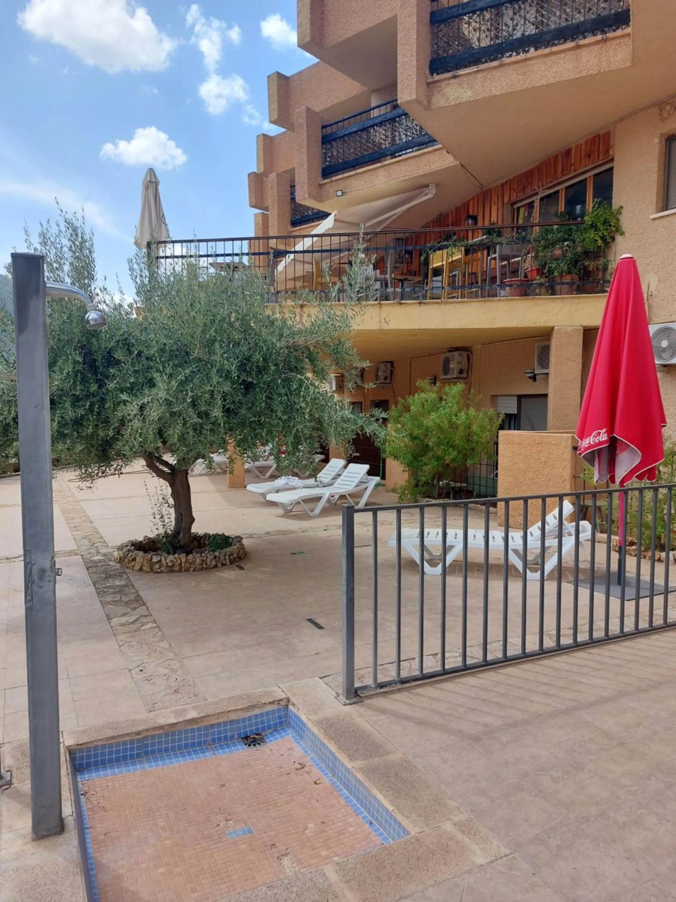 Garden in Hotel Restaurante Felipe II