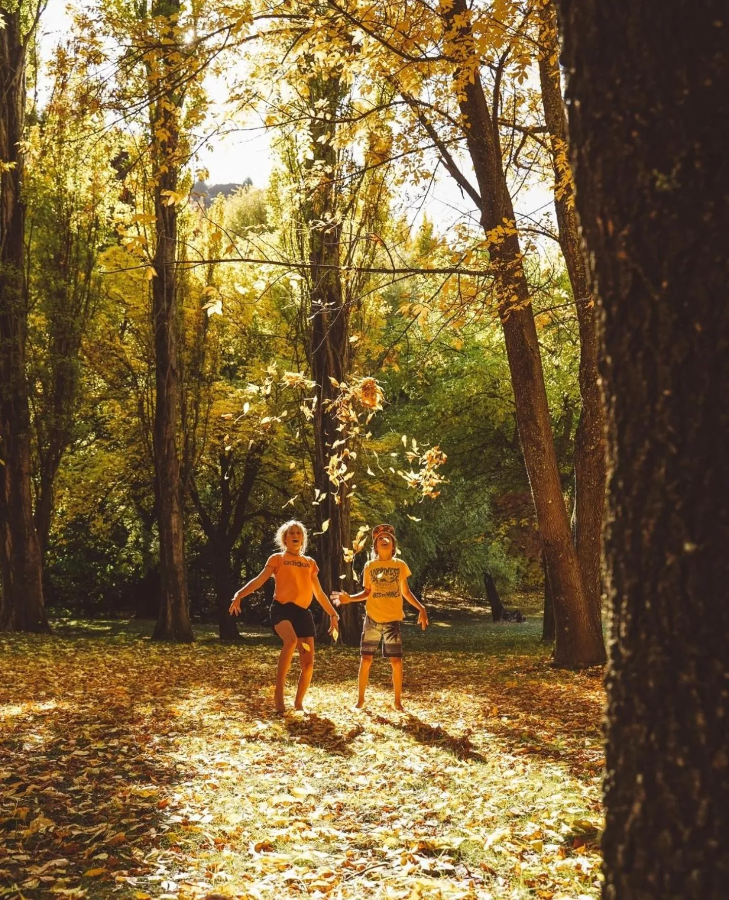 Children play ground in The Camp - Lake Hawea