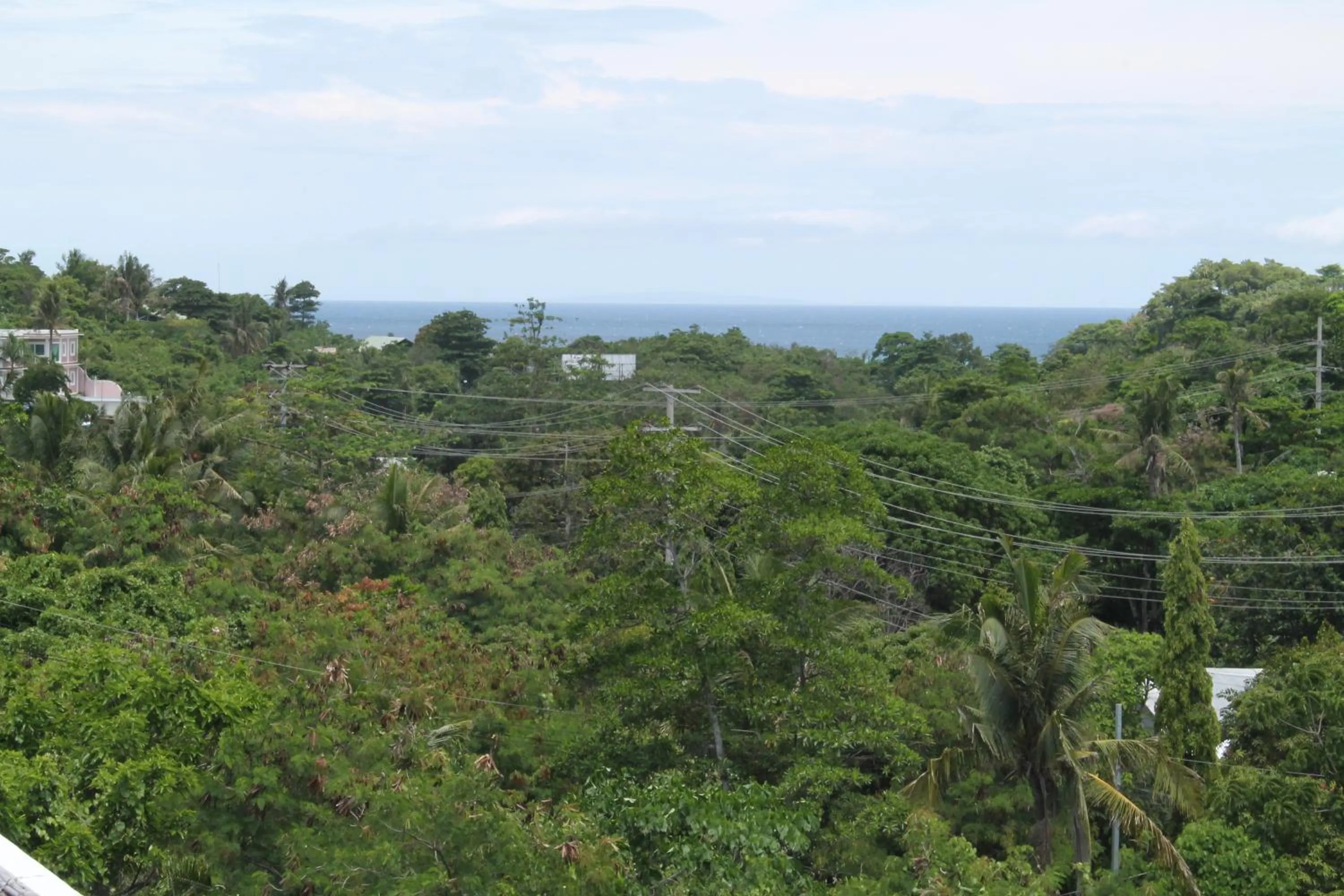 Natural landscape in Roger's Place Guesthouse