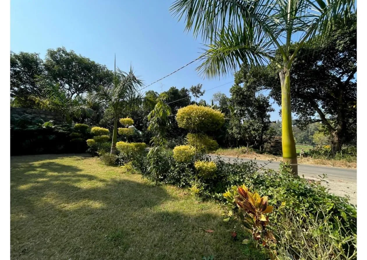 Natural landscape in Dreamland Resort