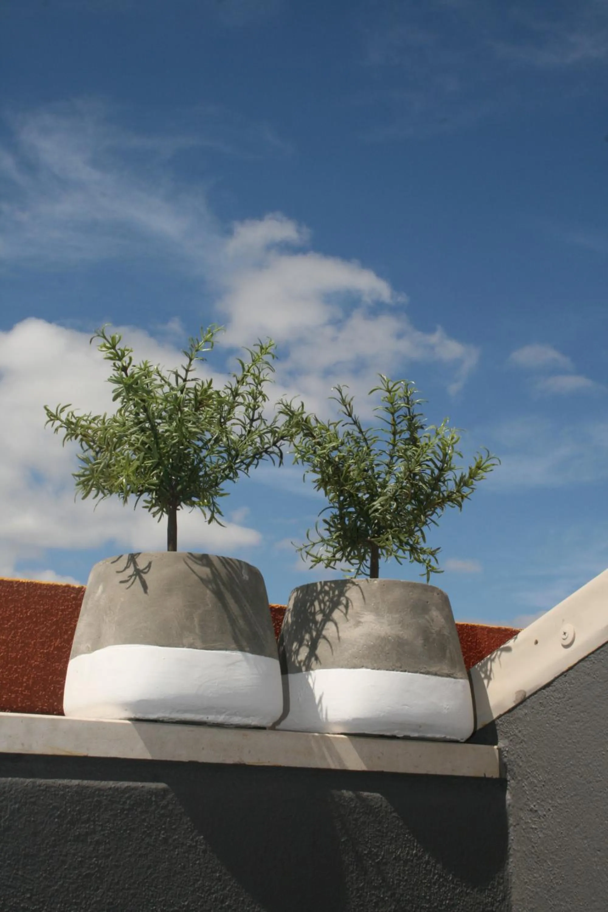 Balcony/Terrace in Flores Guest House