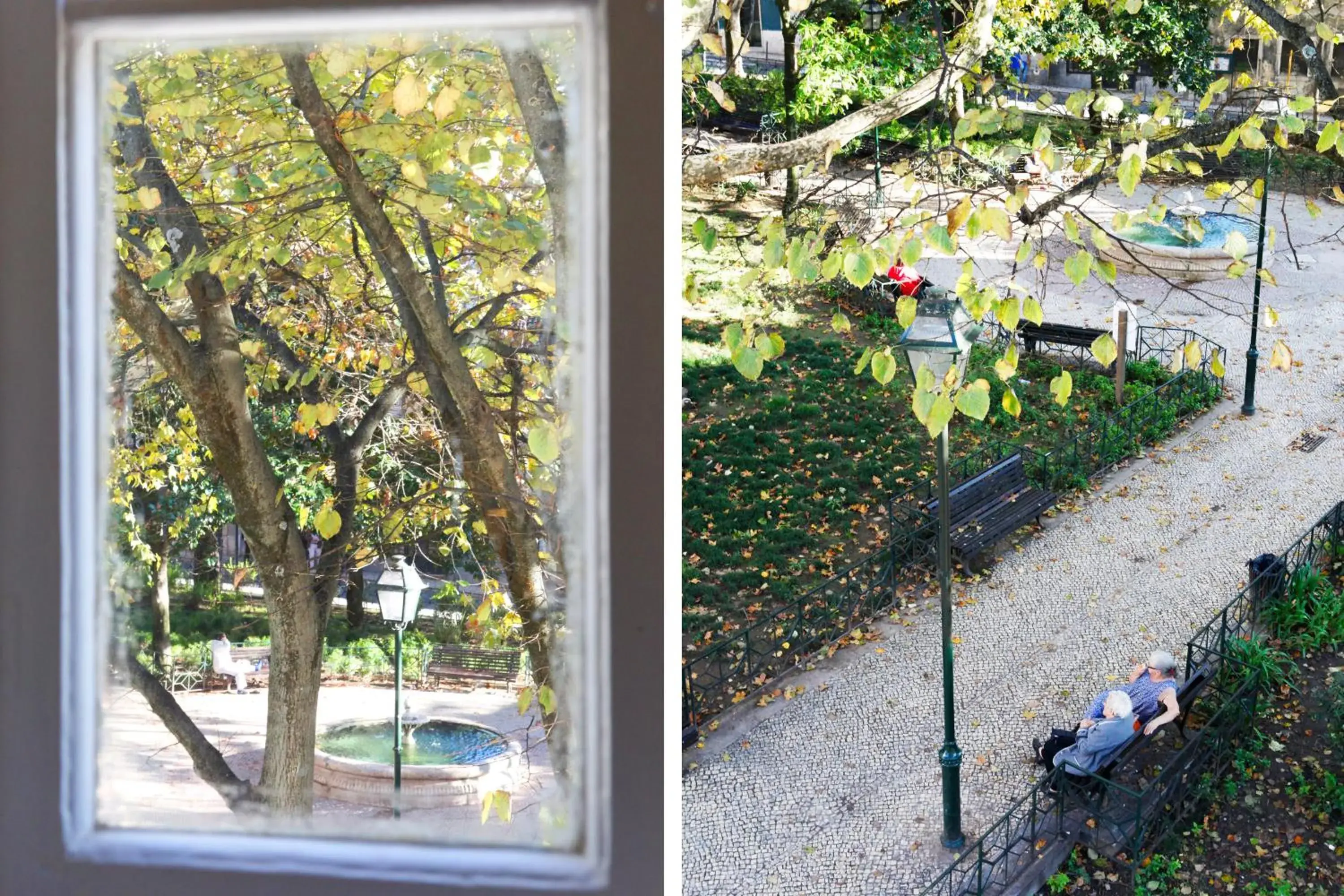 Junior Suite in Flores Guest House Junior Suite in Flores Guest House