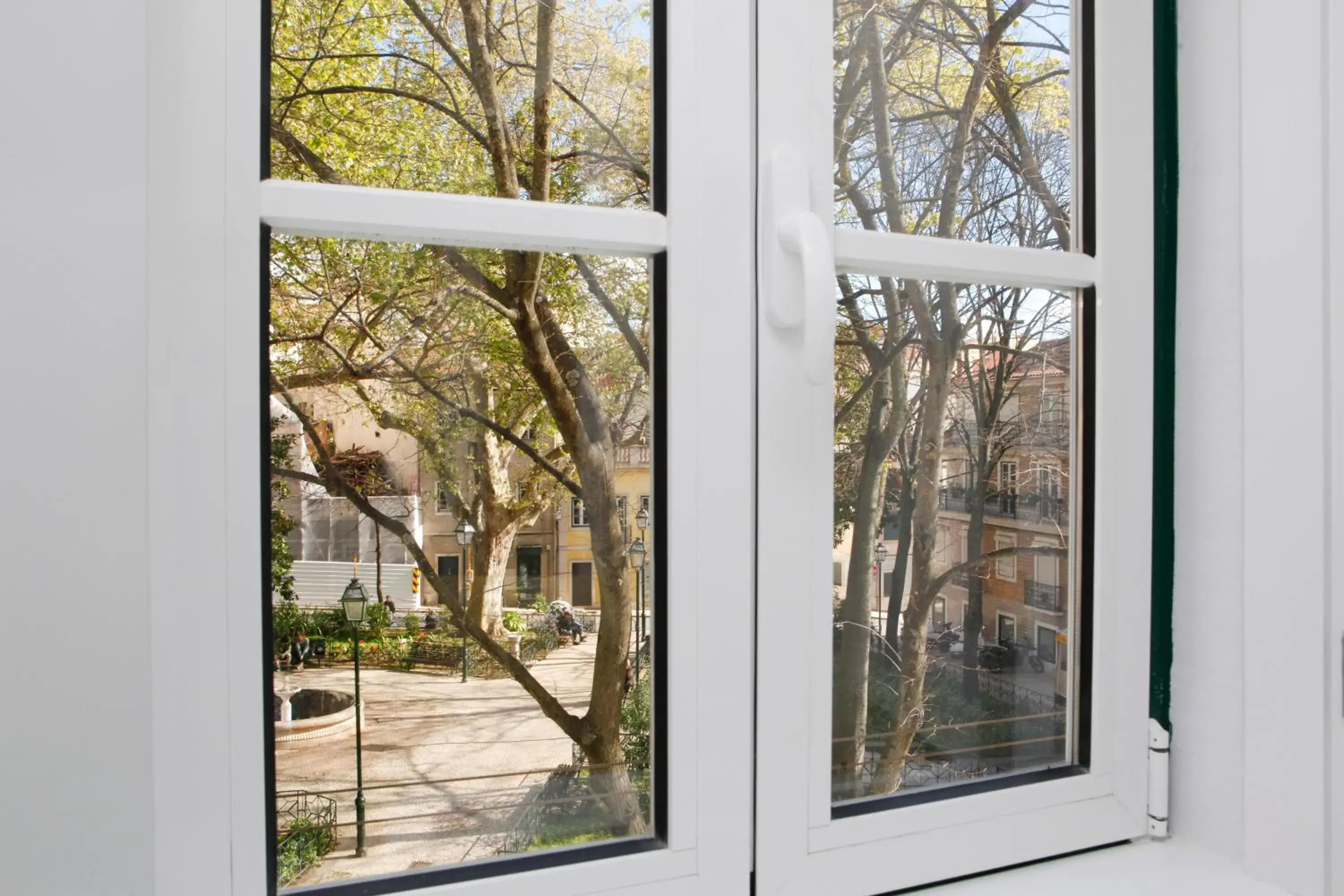 Double or Twin Room with Garden View in Flores Guest House Double or Twin Room with Garden View in Flores Guest House