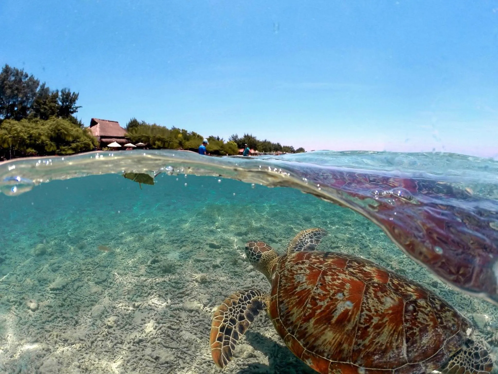 Natural landscape in Segar Village