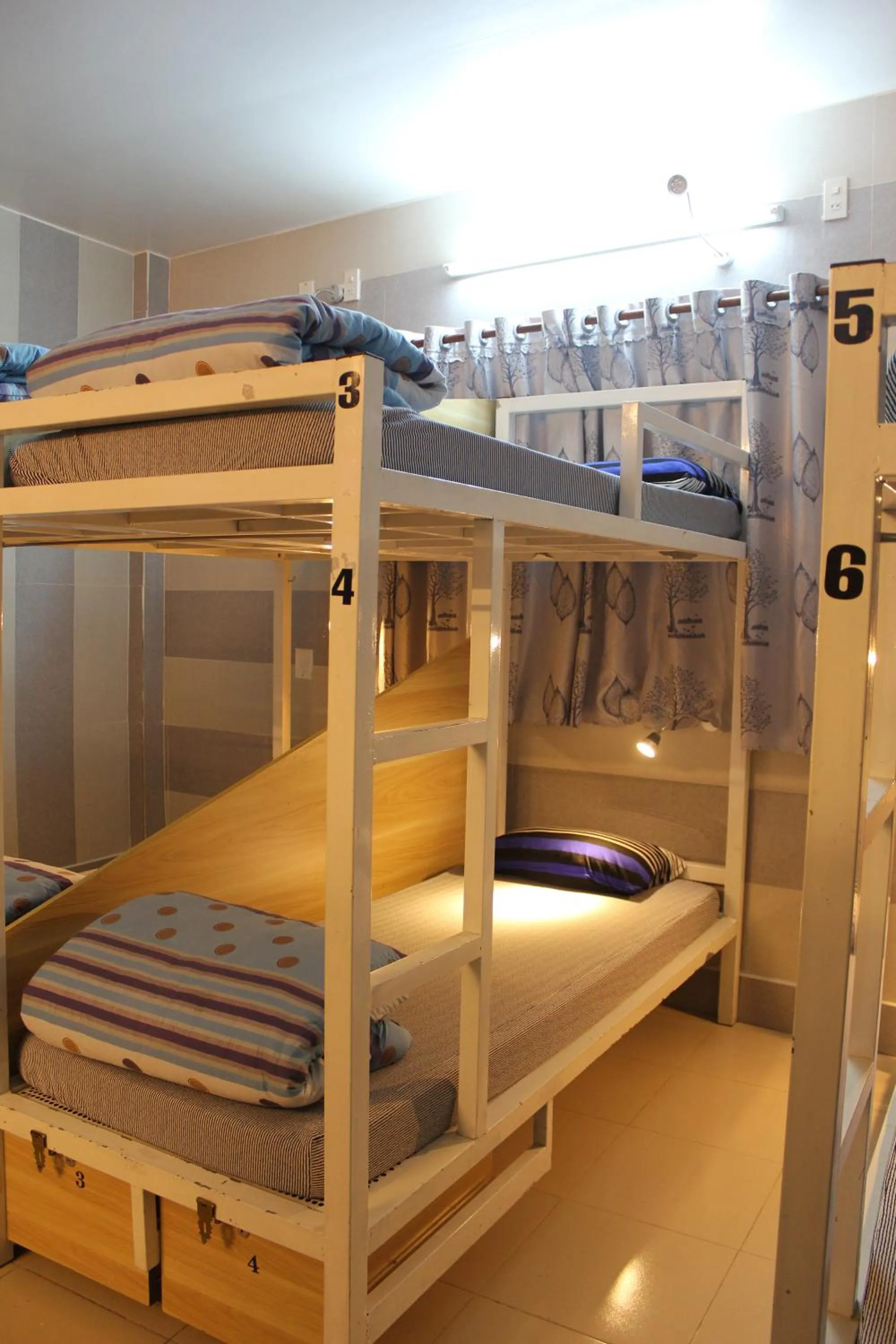 Property building, Bed in DaLat Sky Hostel