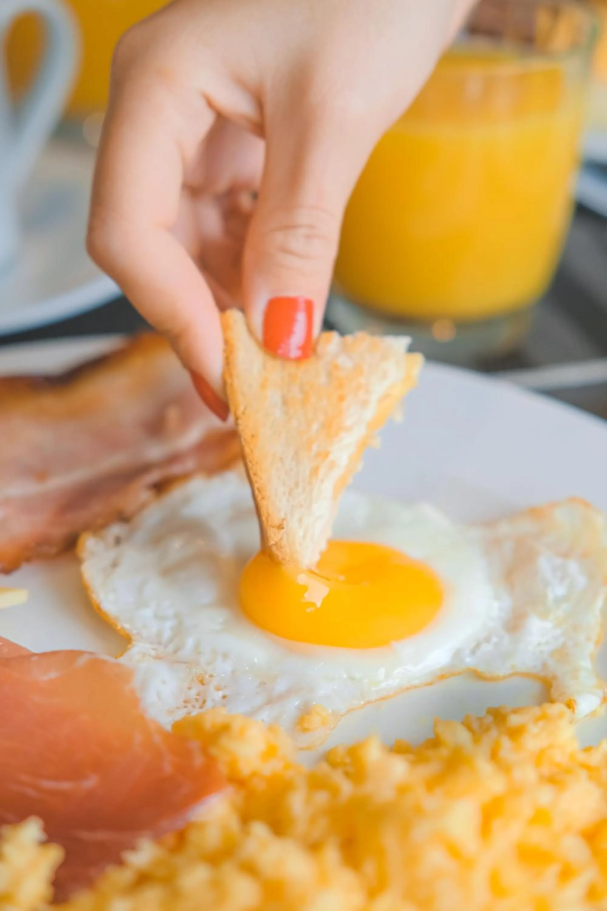 Food and drinks in Hotel Playa Golf - Adults Only