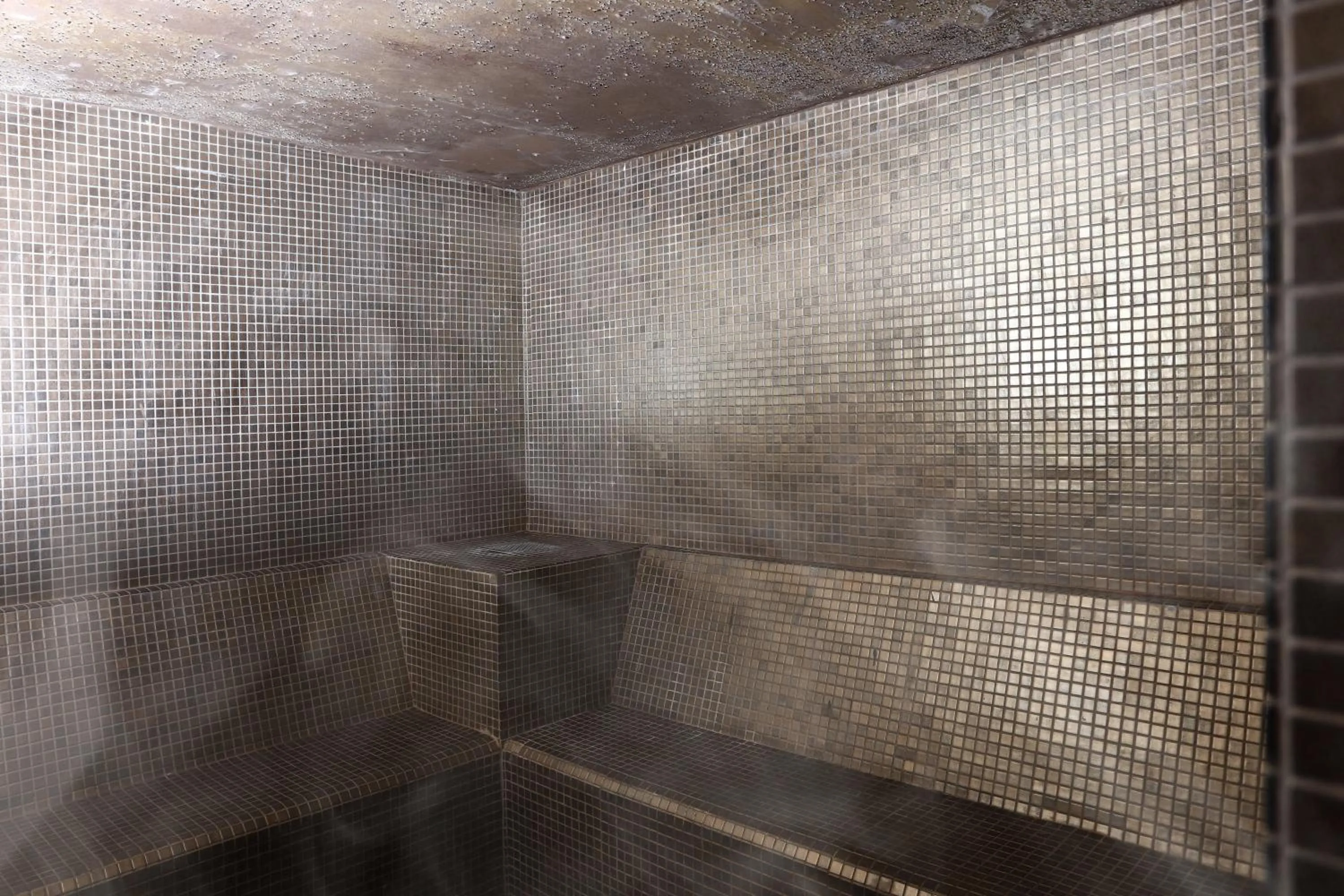 Steam room in Hotel Playa Golf - Adults Only