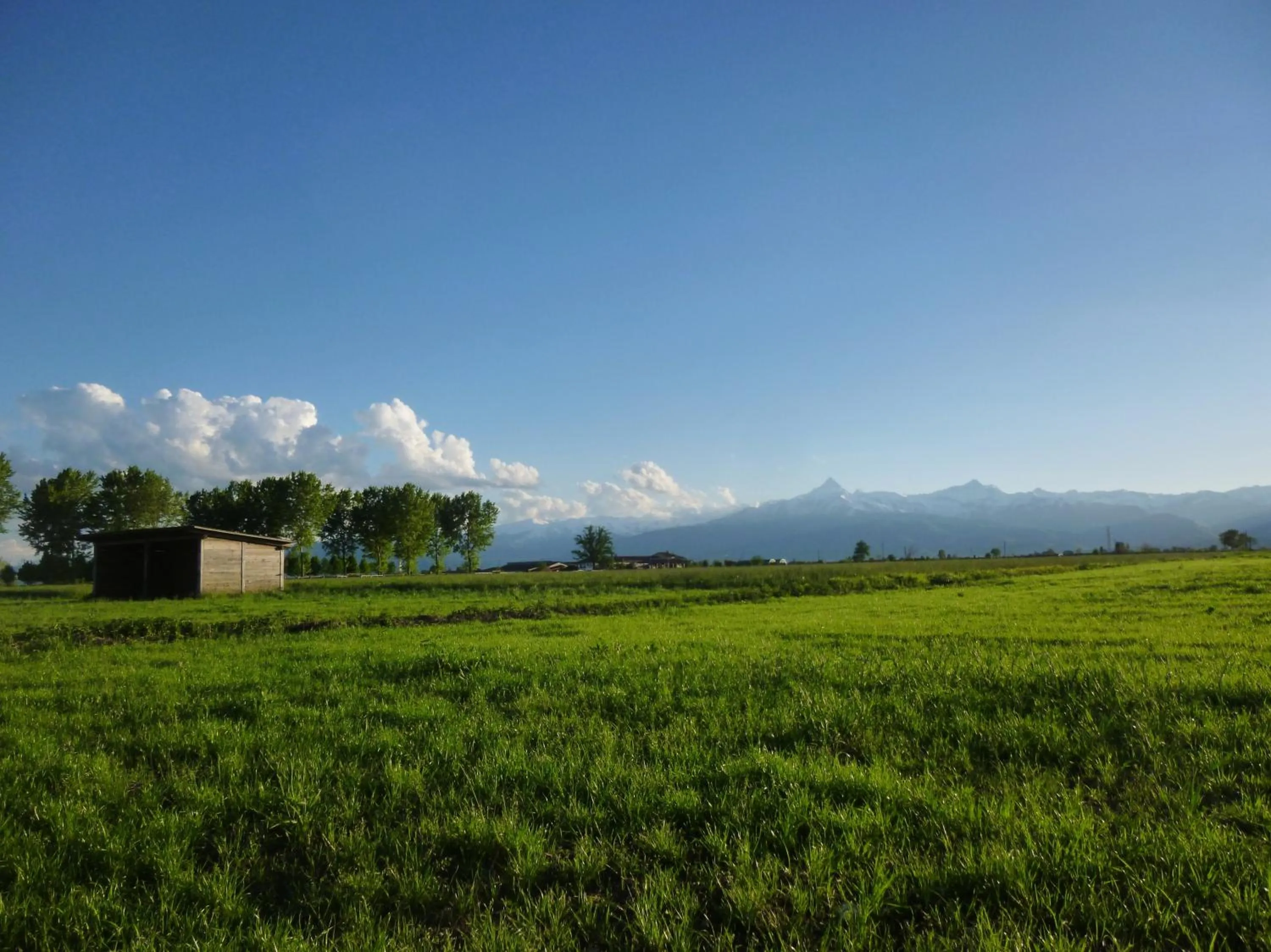 Property building in Tenuta Ajrale
