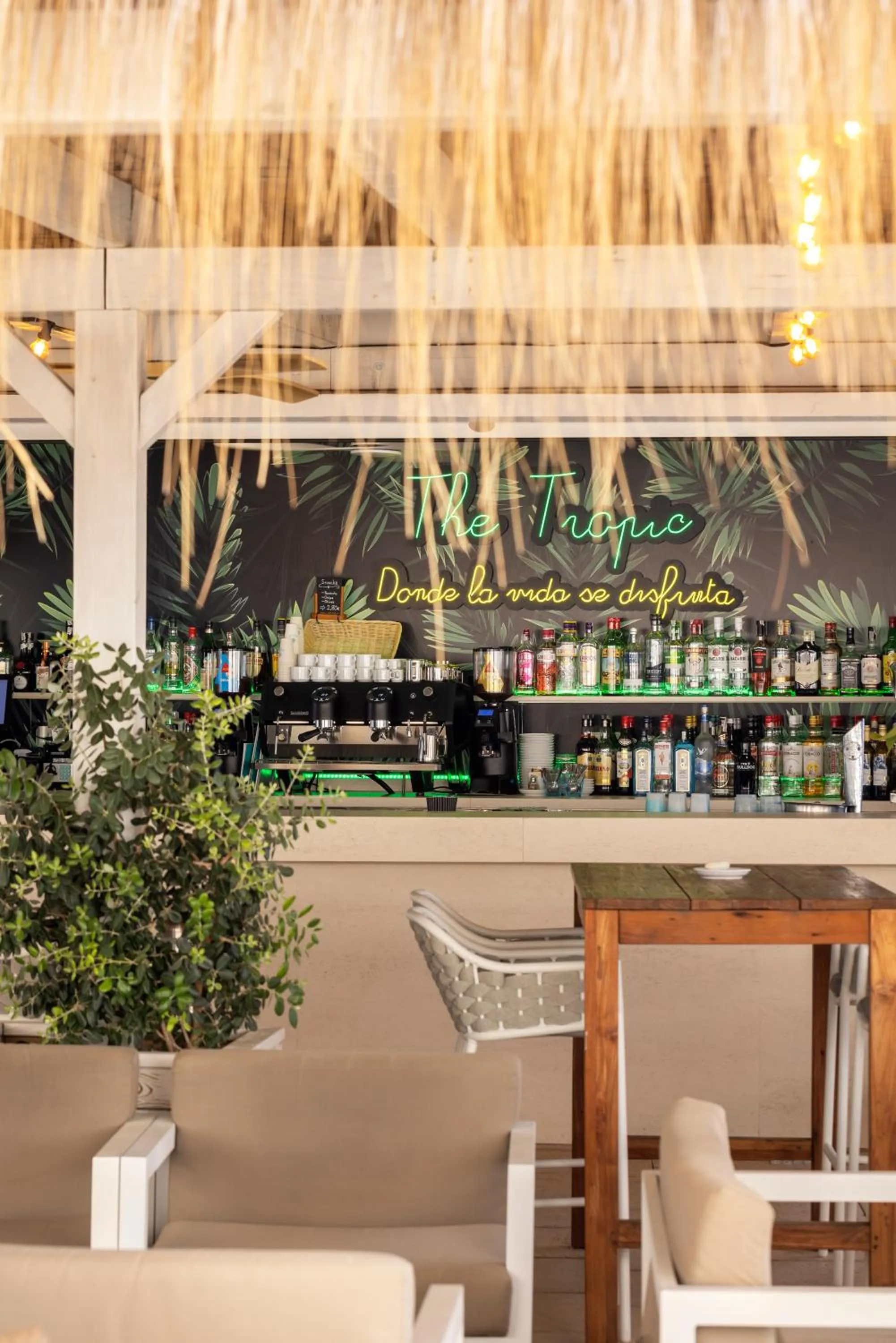 Lounge or bar in Alua Gran Camp de Mar