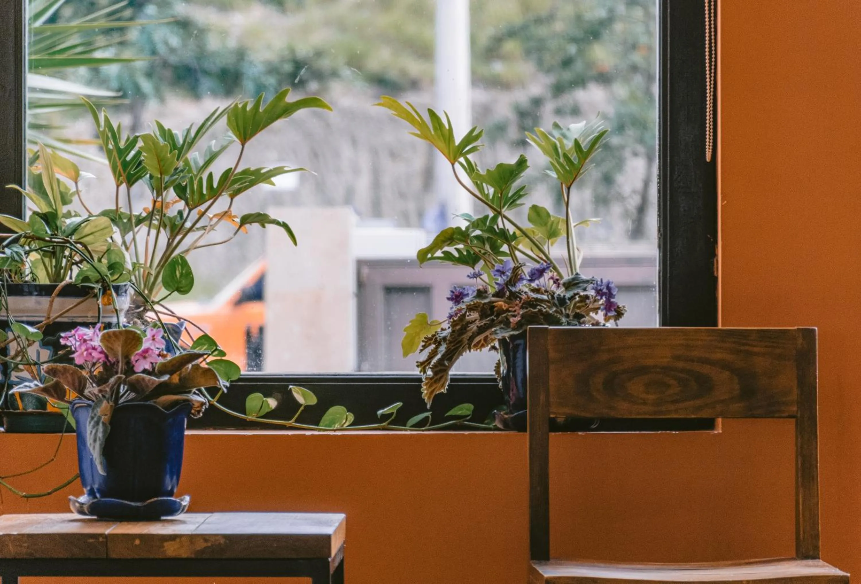 Lobby or reception in Hotel La Estación