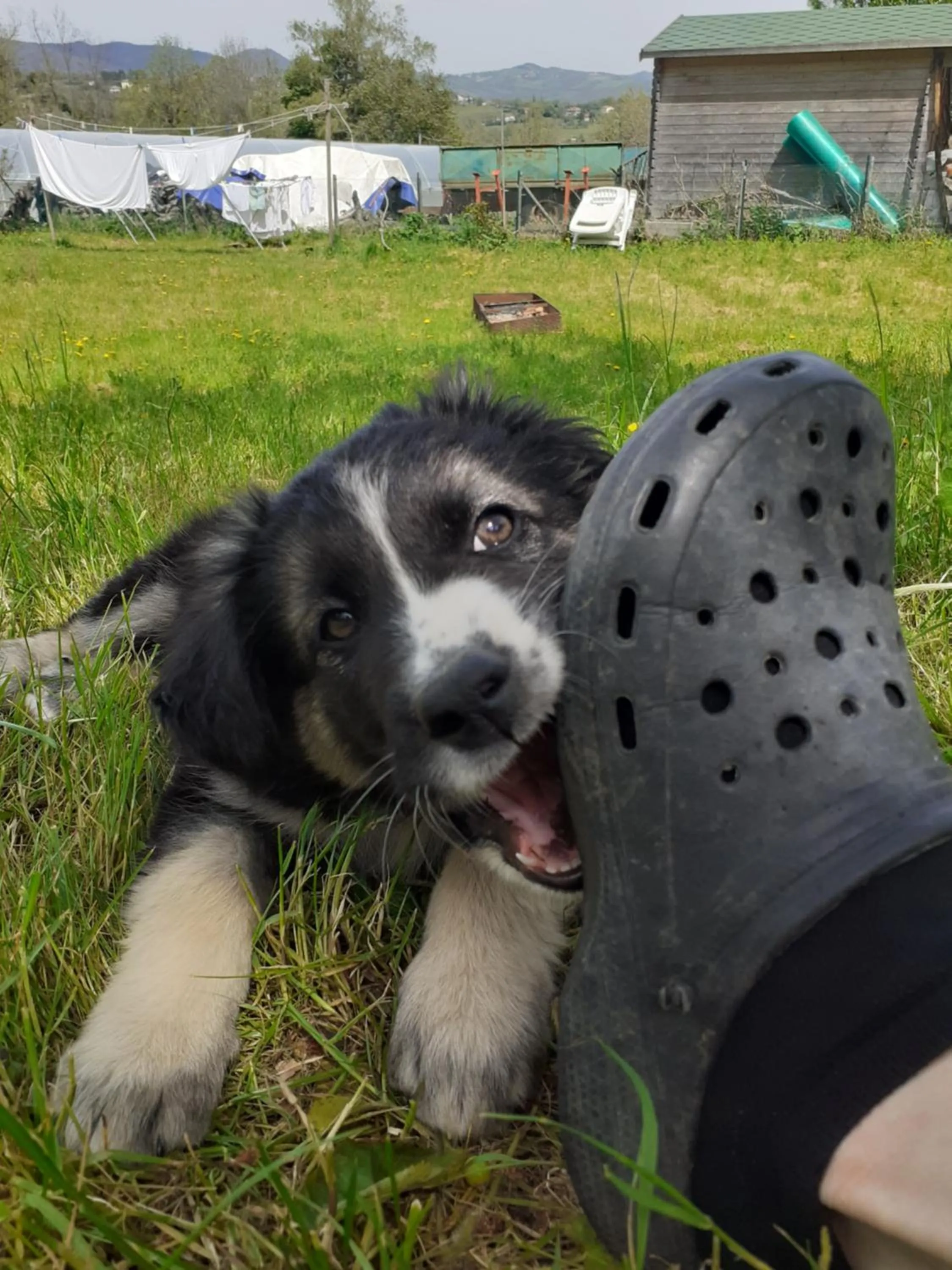 Garden in Cà Gennara Agri B&B