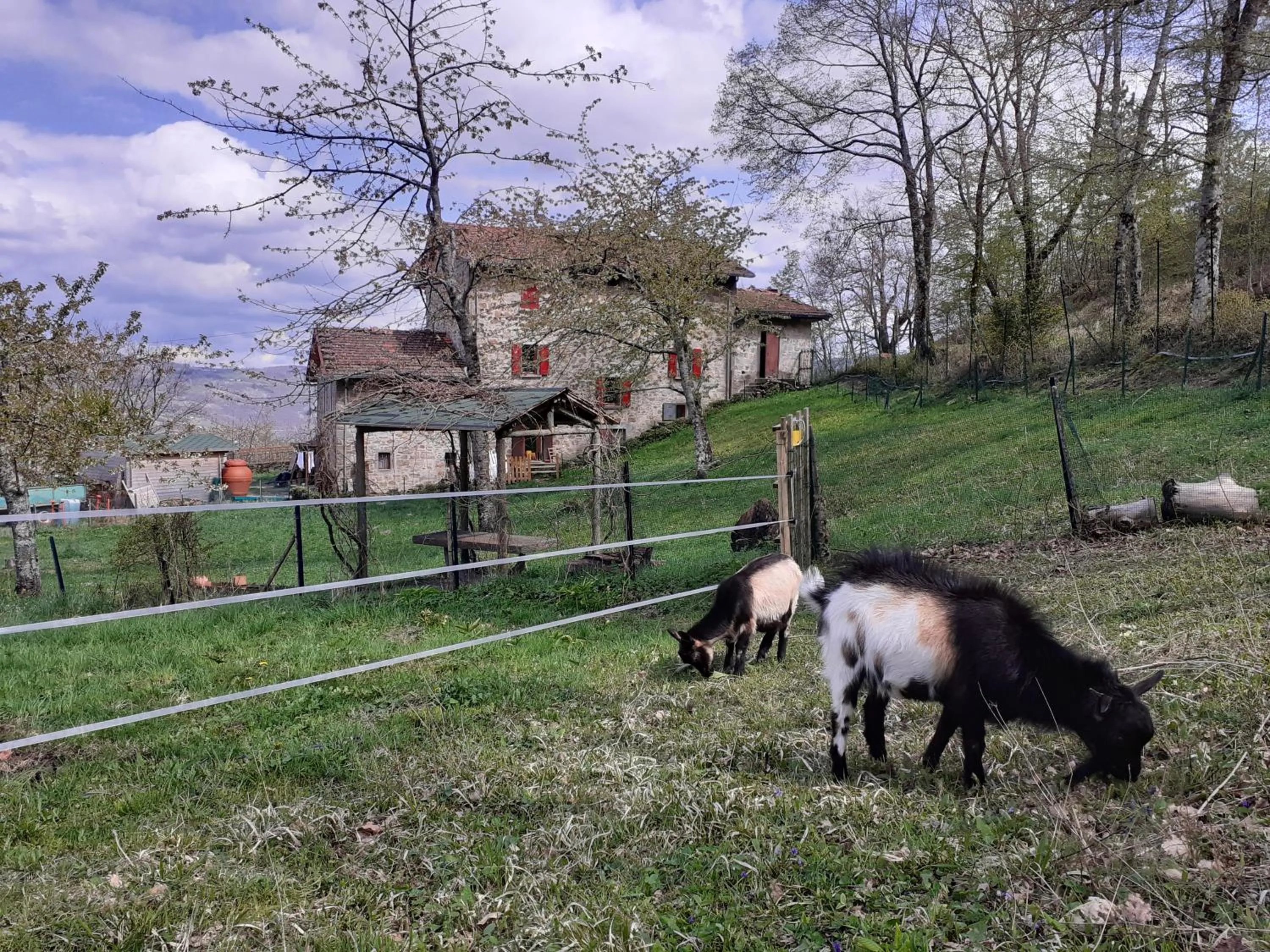 Natural landscape in Cà Gennara Agri B&B