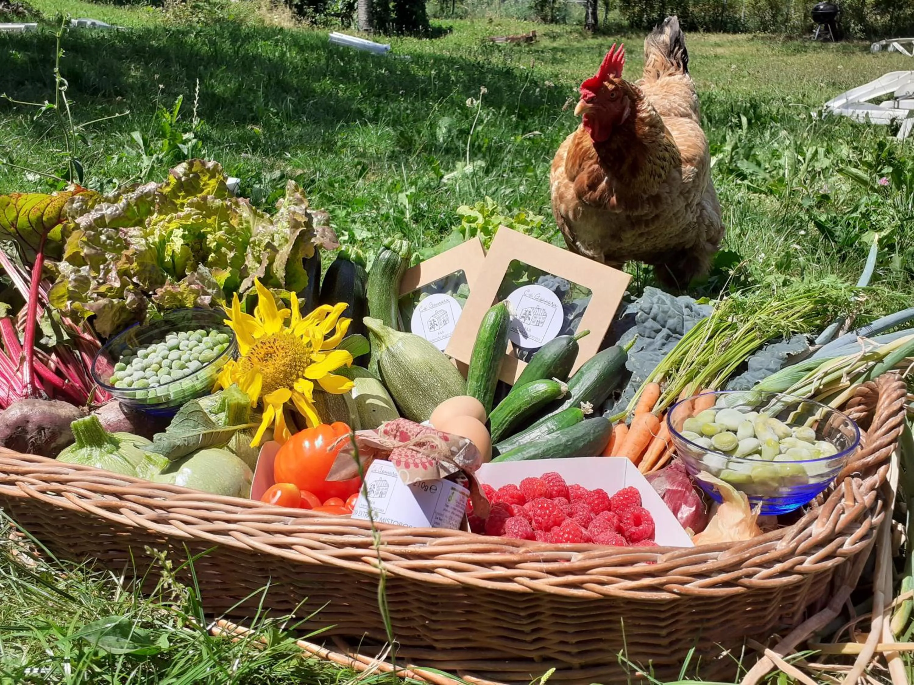 Garden in Cà Gennara Agri B&B
