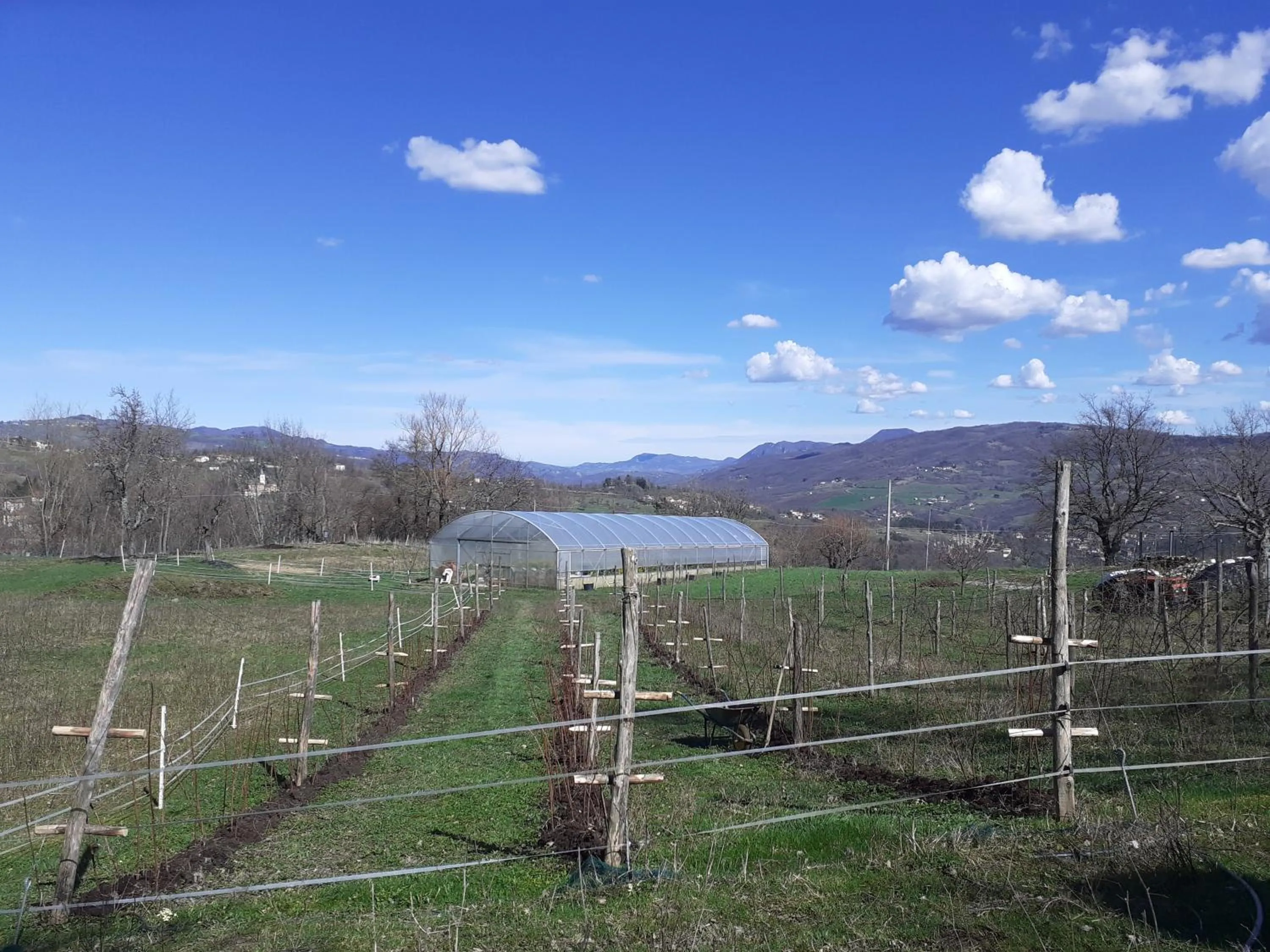 Spring in Cà Gennara Agri B&B