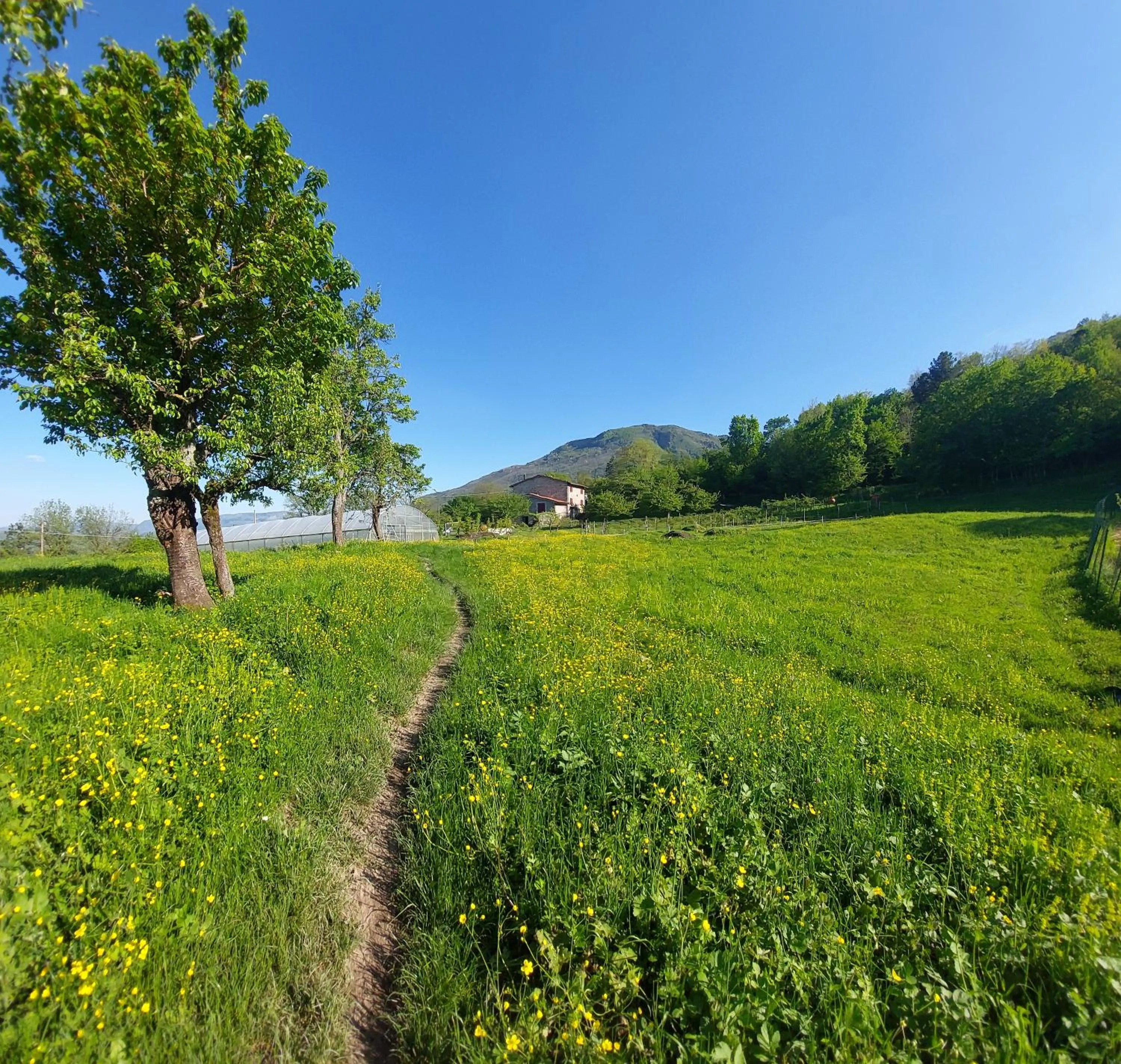Spring in Cà Gennara Agri B&B