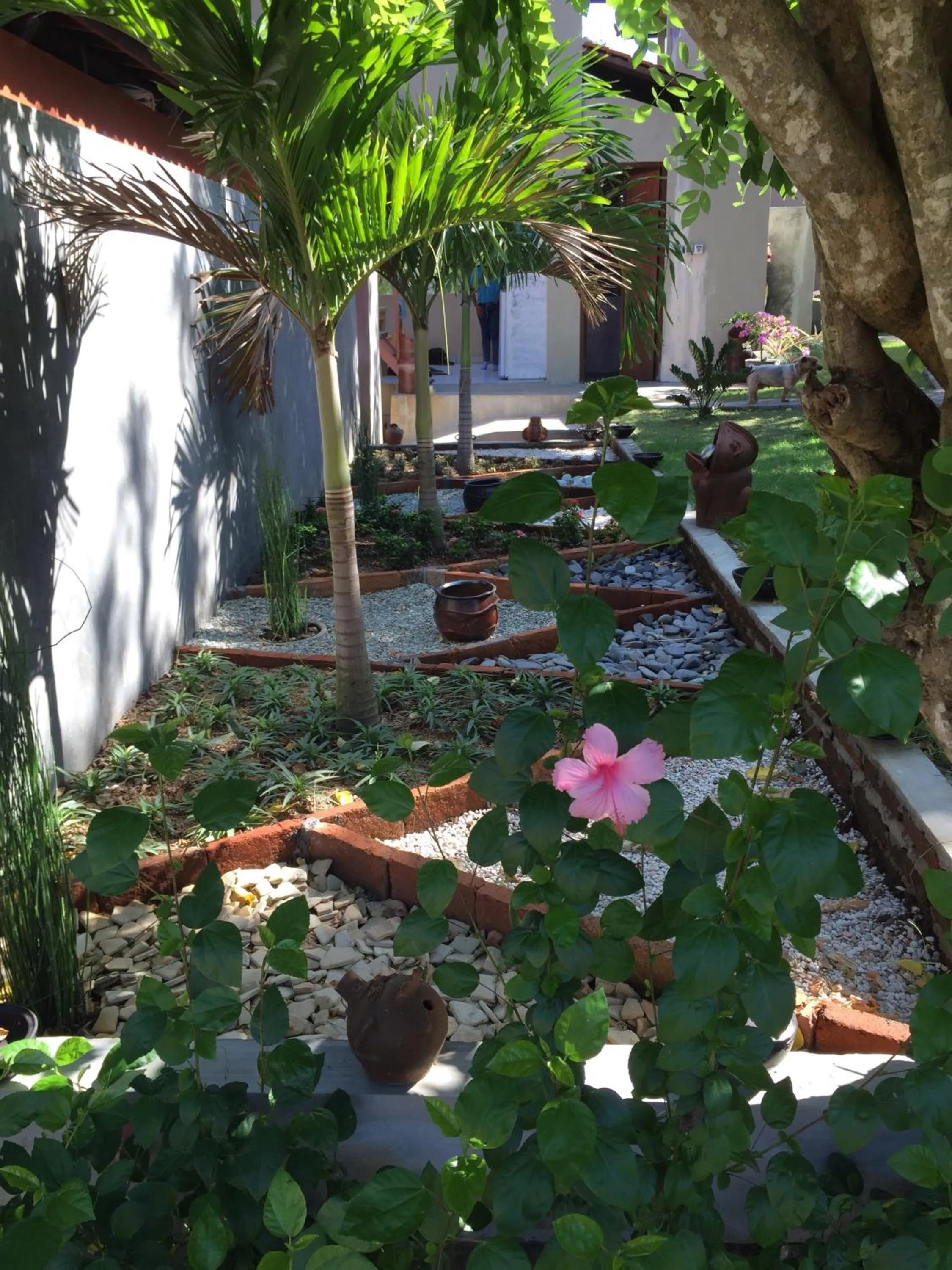 Garden in Villa Anjing 2