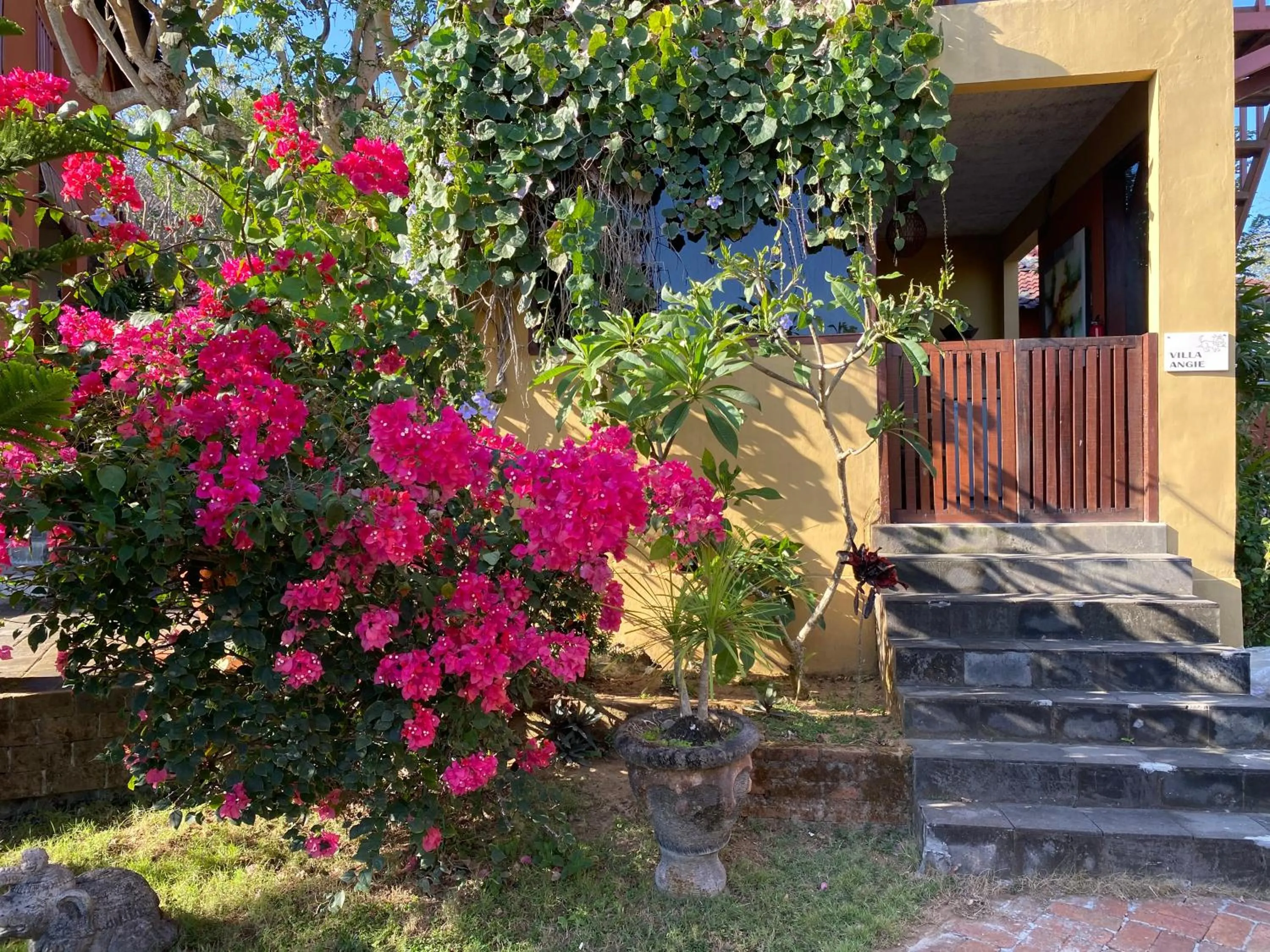 Garden view in Villa Anjing 2