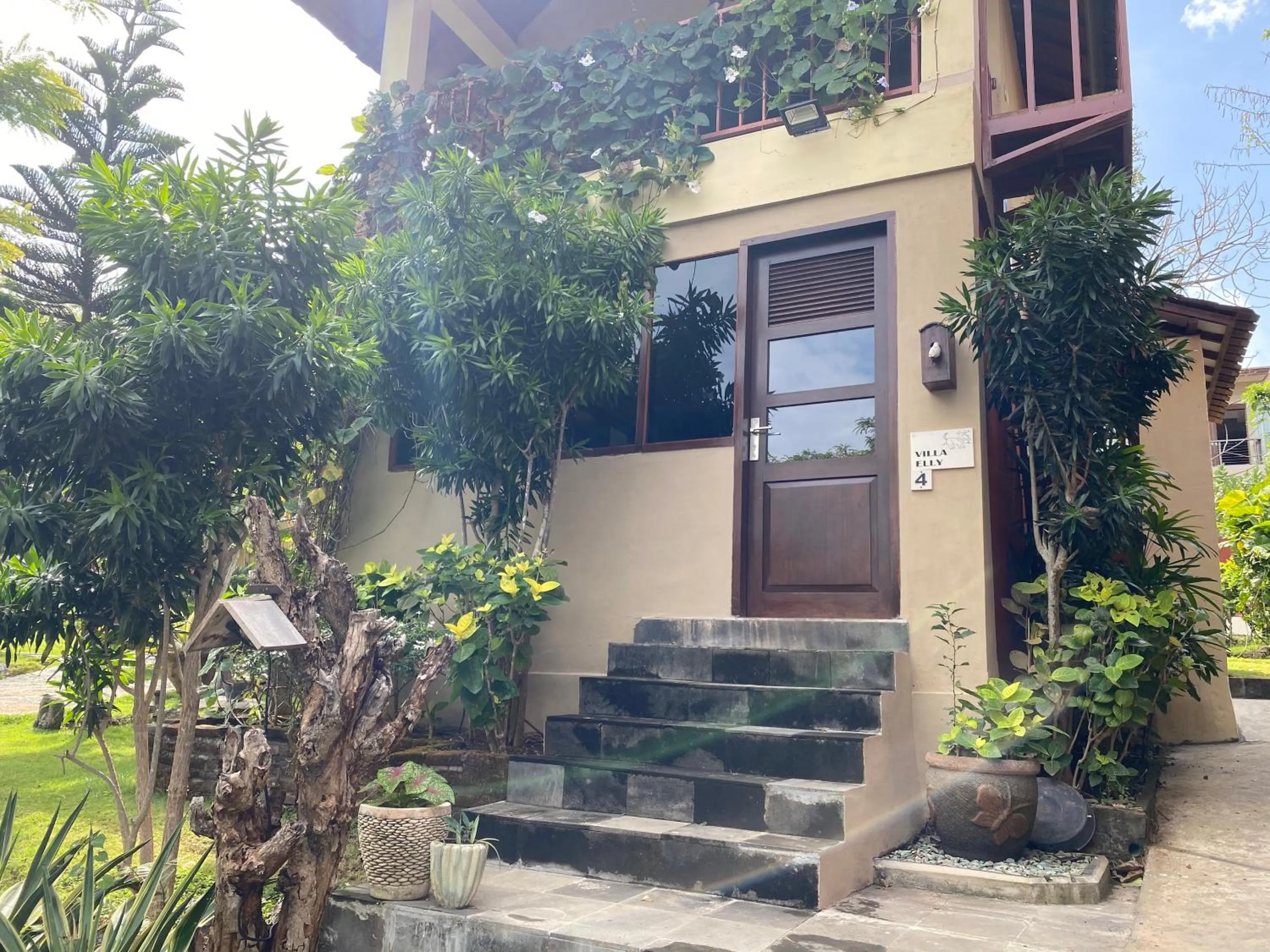 Garden in Villa Anjing 2