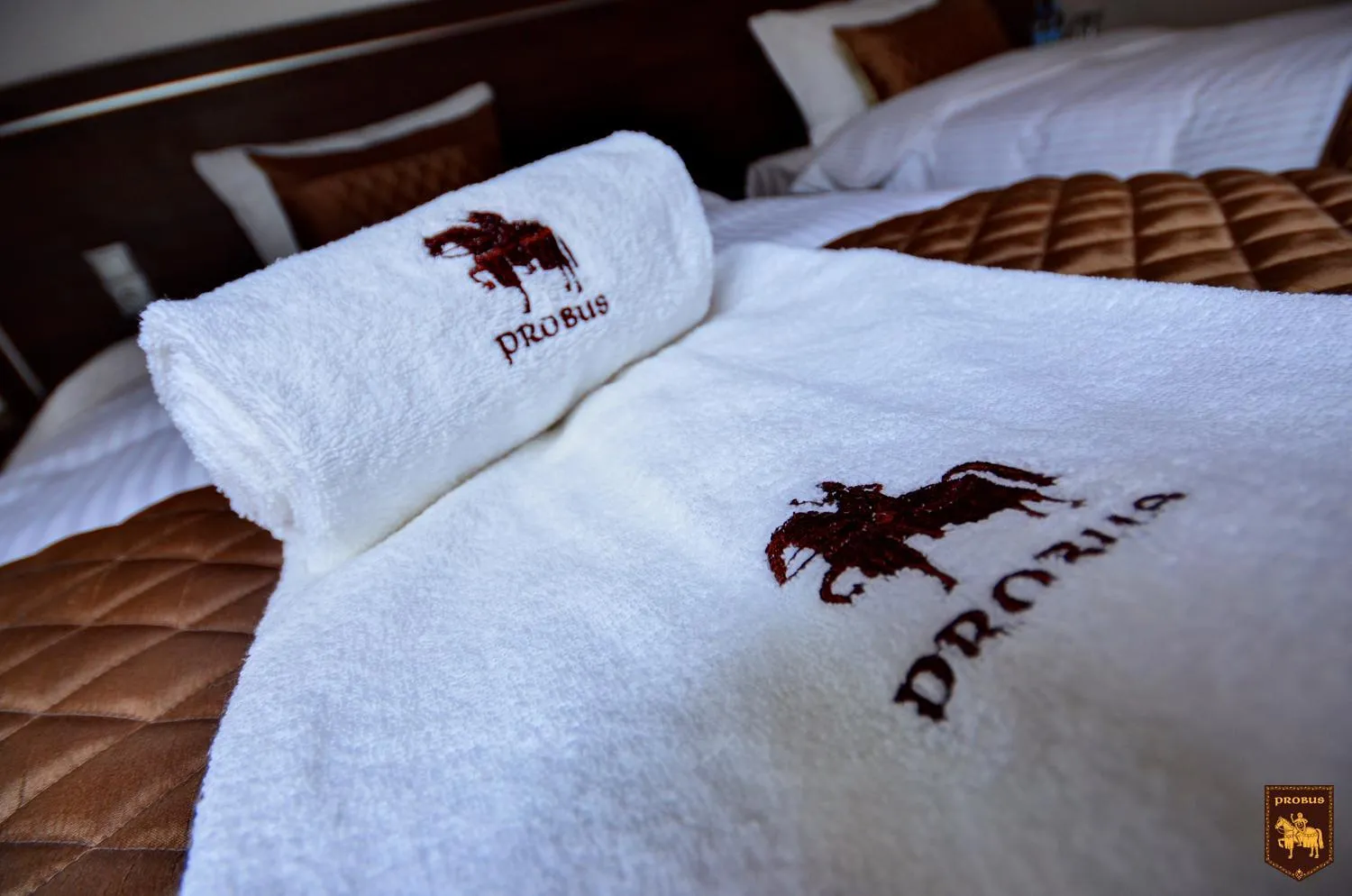 Bed in CTKiR Browar Probus