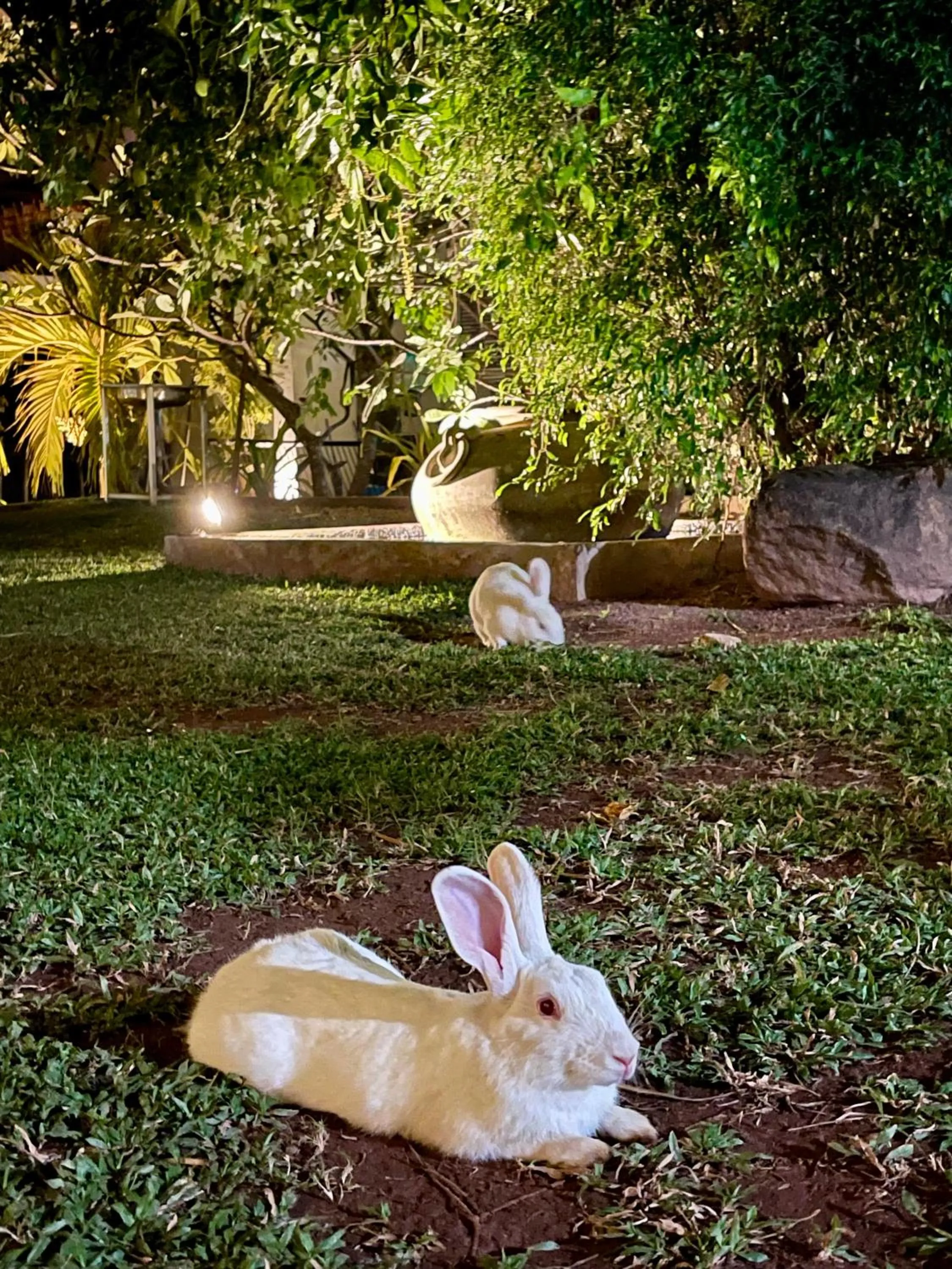 Olanro Hotel Negombo