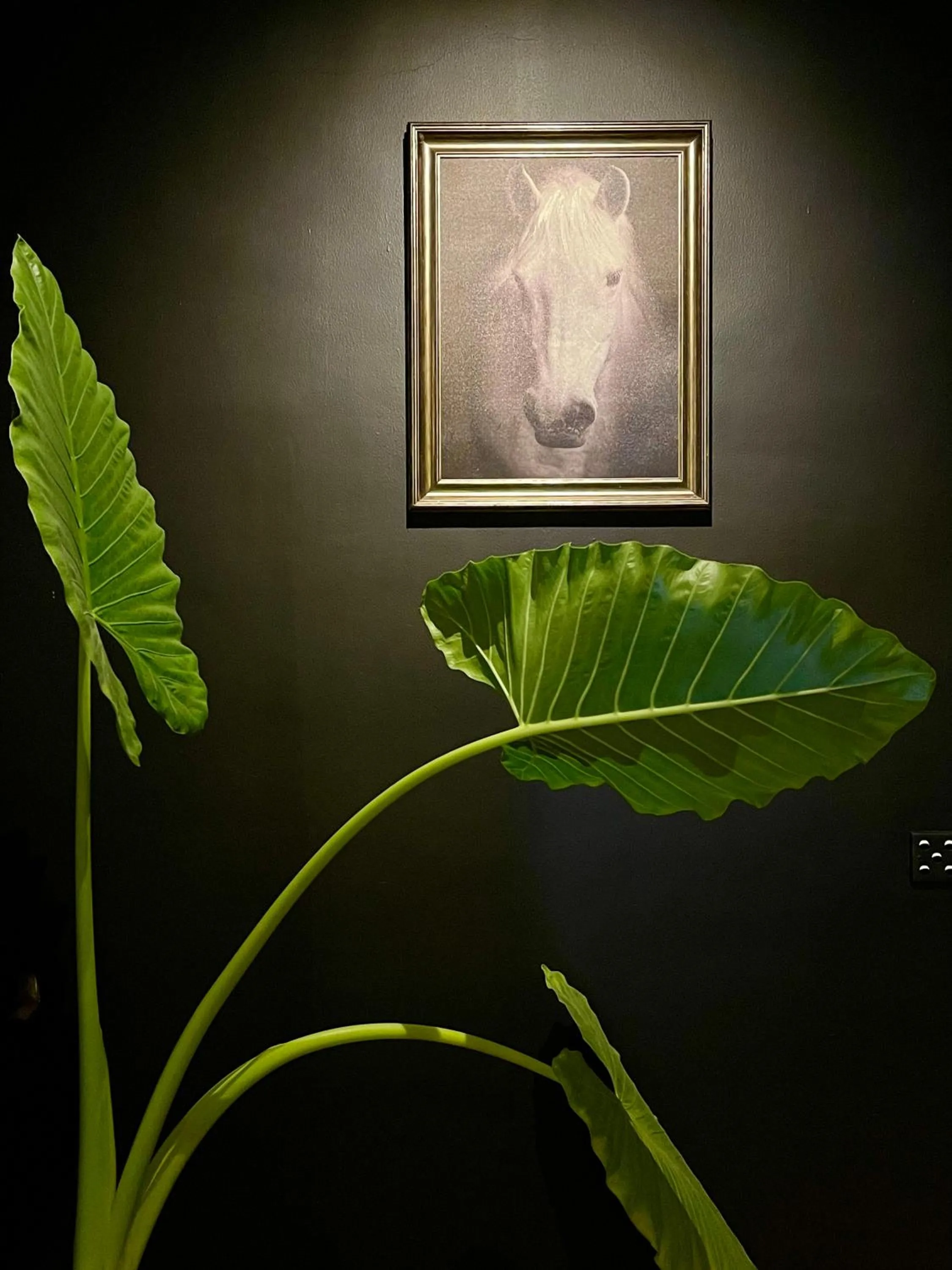 Olanro Hotel Negombo