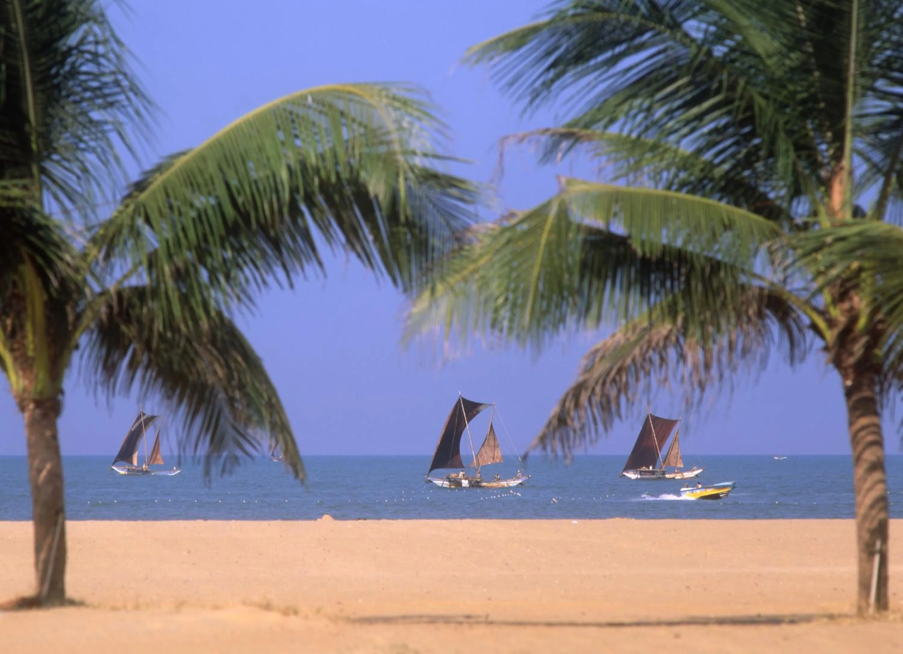 Beach in Olanro Hotel Negombo