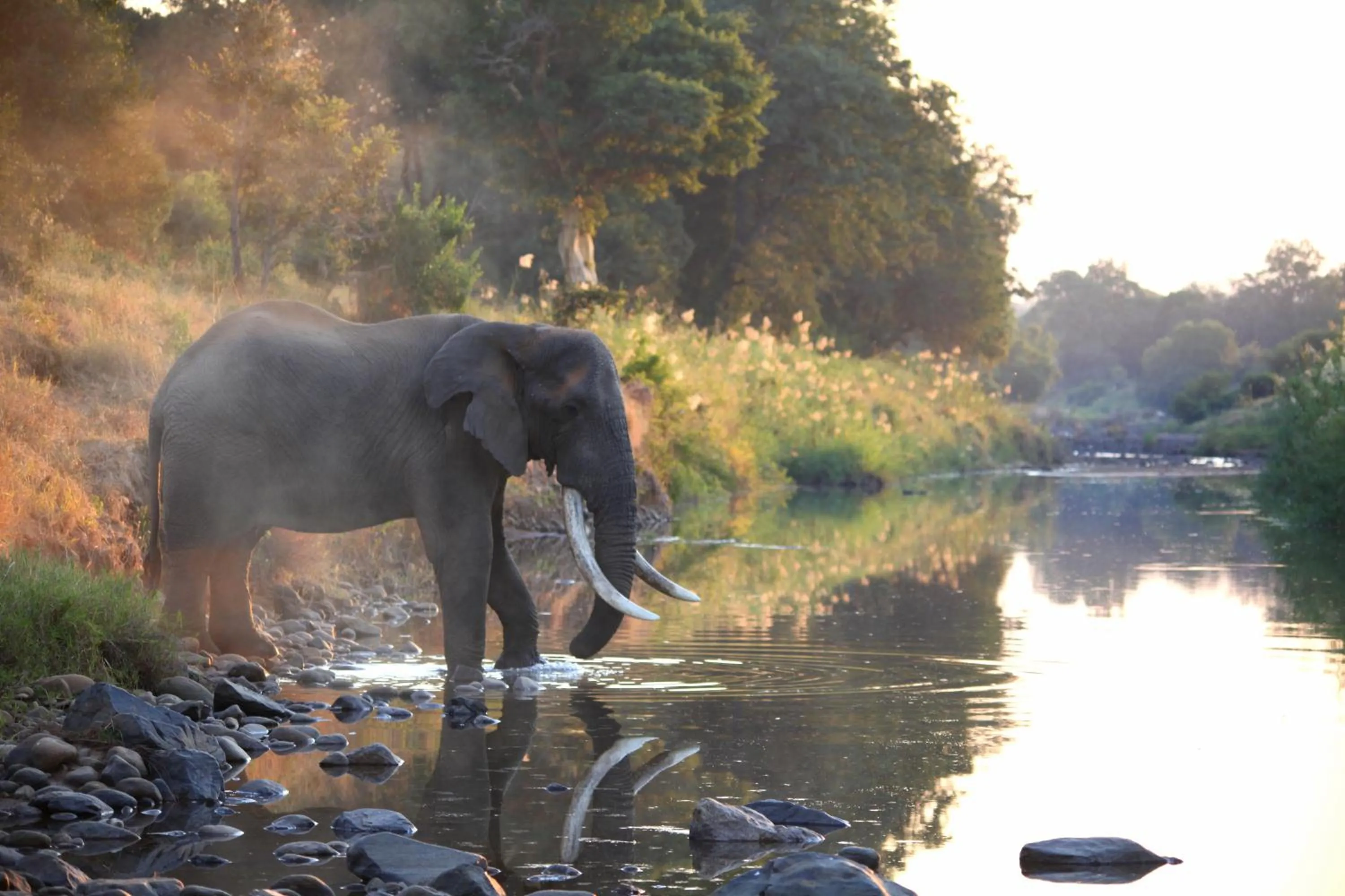 Natural landscape in Karongwe - Kuname Safari Lodge