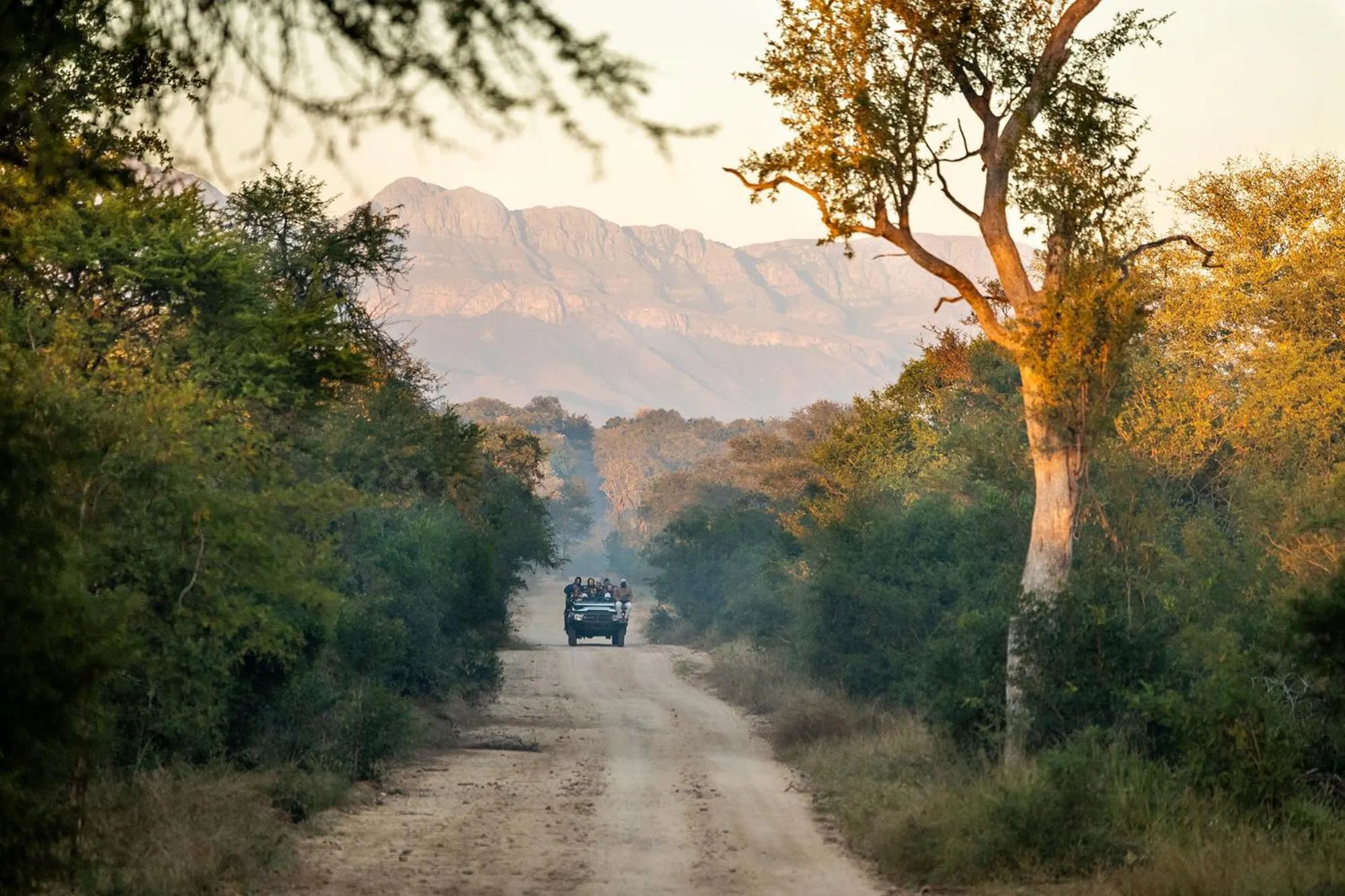 Animals in Karongwe - Kuname Safari Lodge