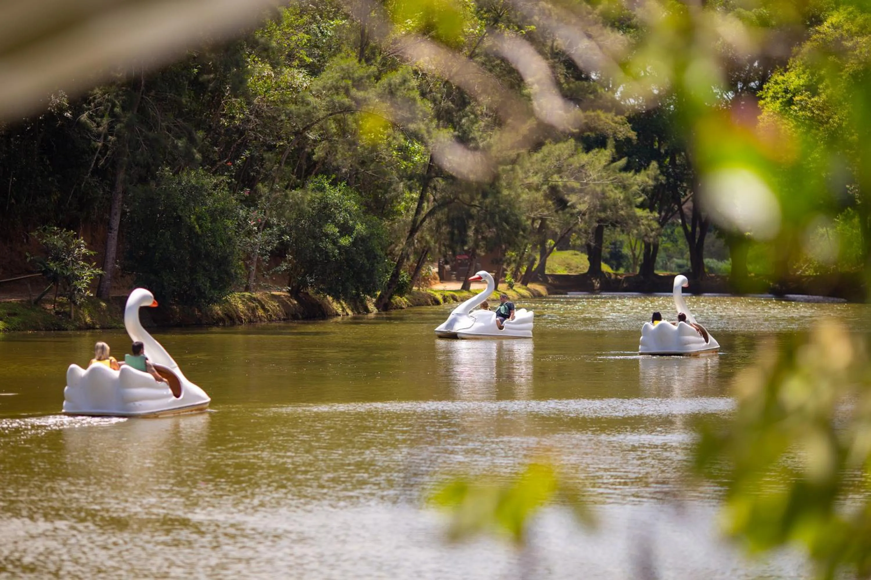 Day in Hotel Fazenda Vilarejo All Inclusive