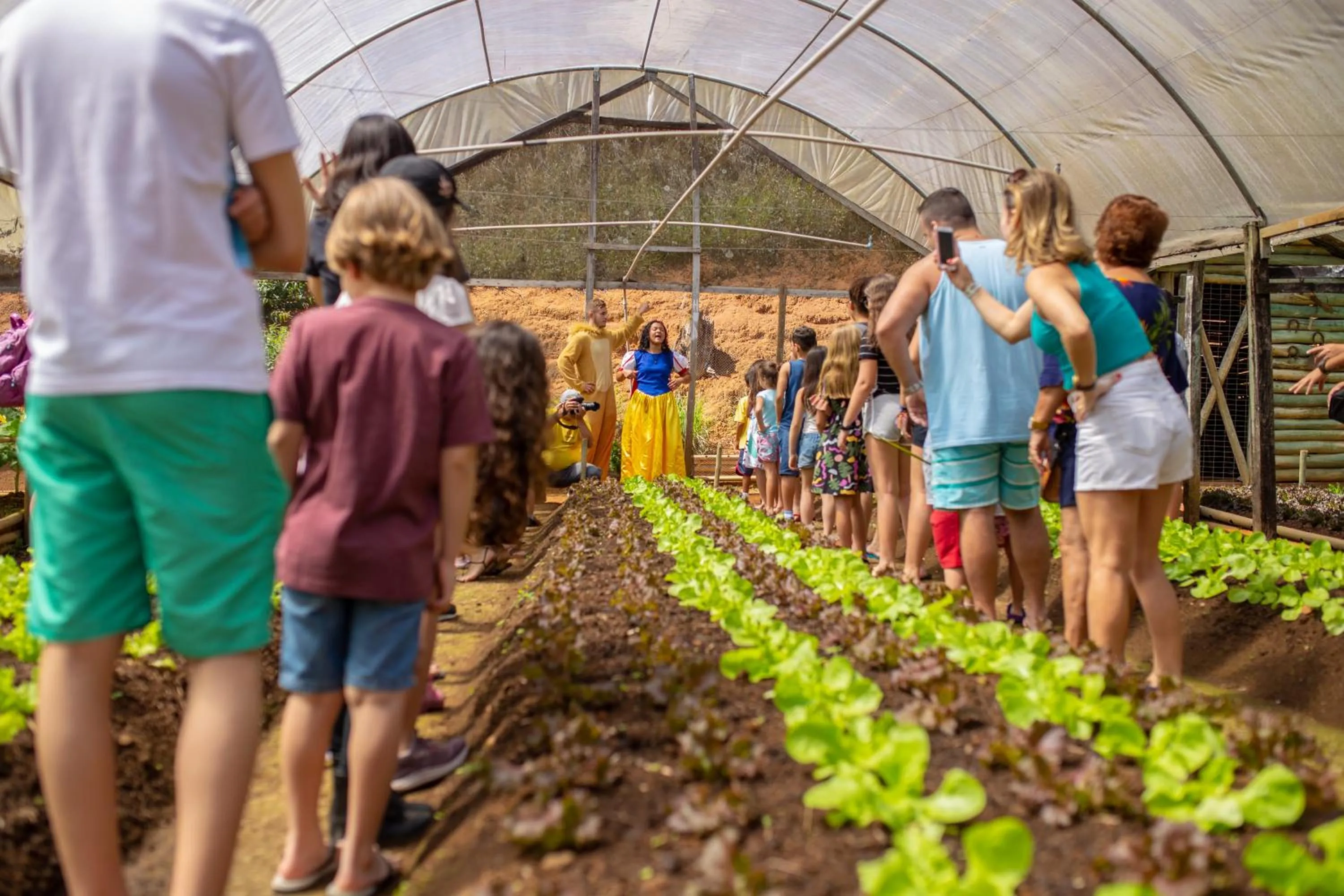 Spring in Hotel Fazenda Vilarejo All Inclusive