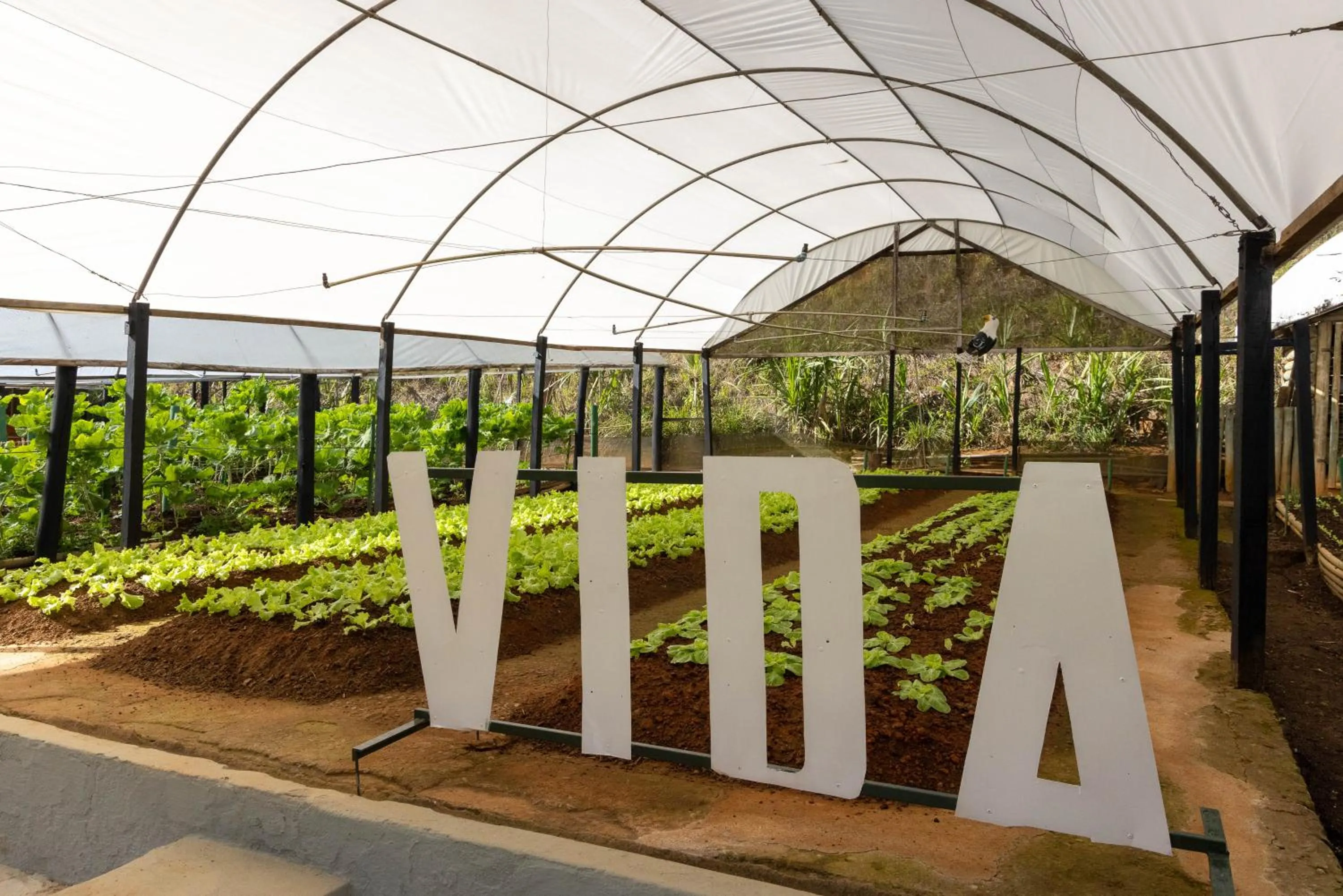 Hotel Fazenda Vilarejo All Inclusive