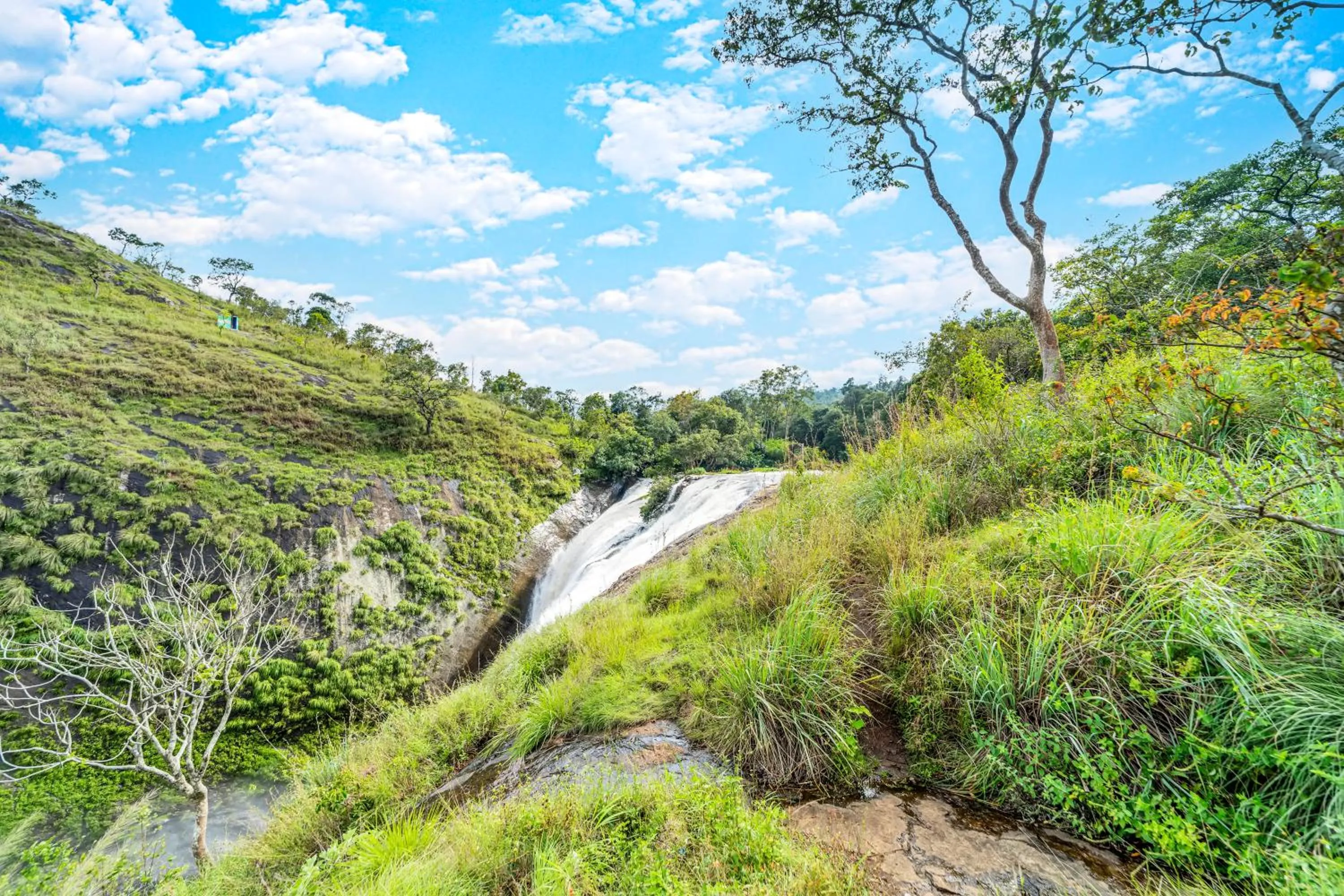 Spring in Zacs Valley Resort & Wellness Retreat Kodaikanal