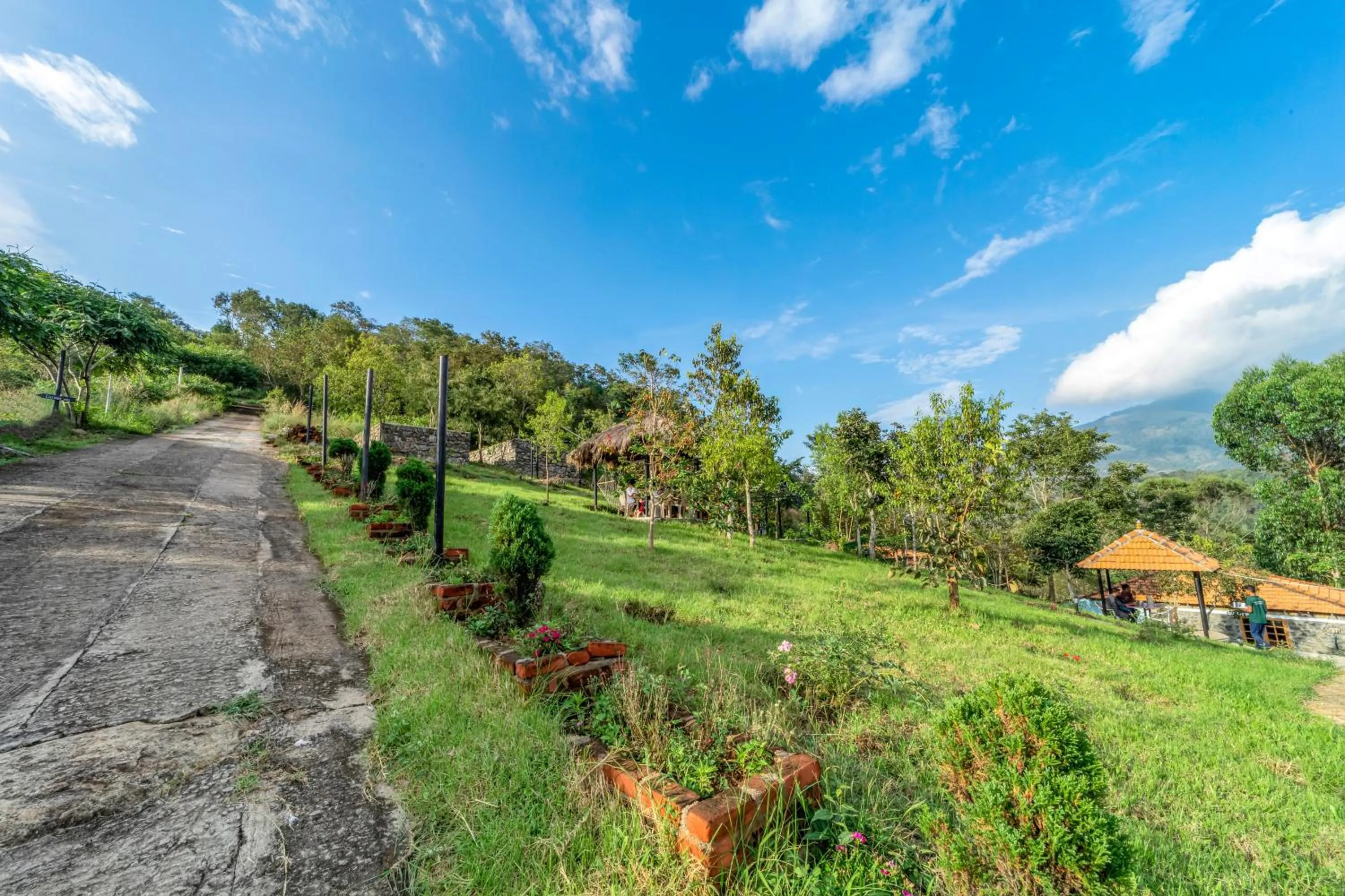 Quiet street view in Zacs Valley Resort & Wellness Retreat Kodaikanal