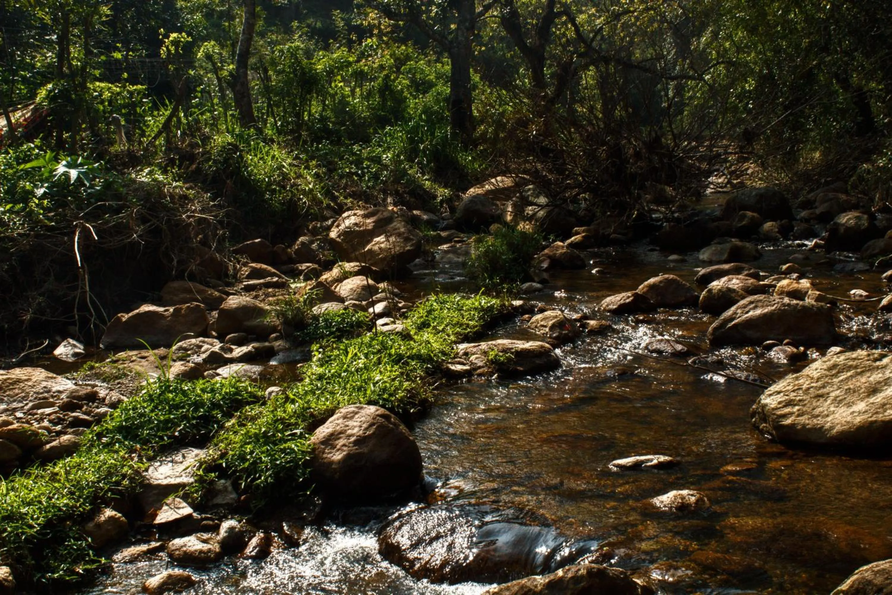 River view in Zacs Valley Resort & Wellness Retreat Kodaikanal