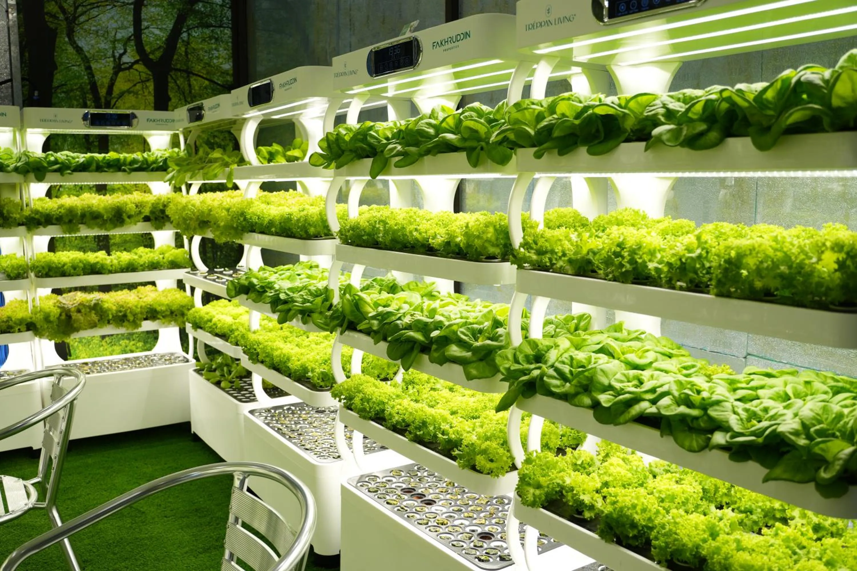 Treppan Hotel & Suites By Fakhruddin