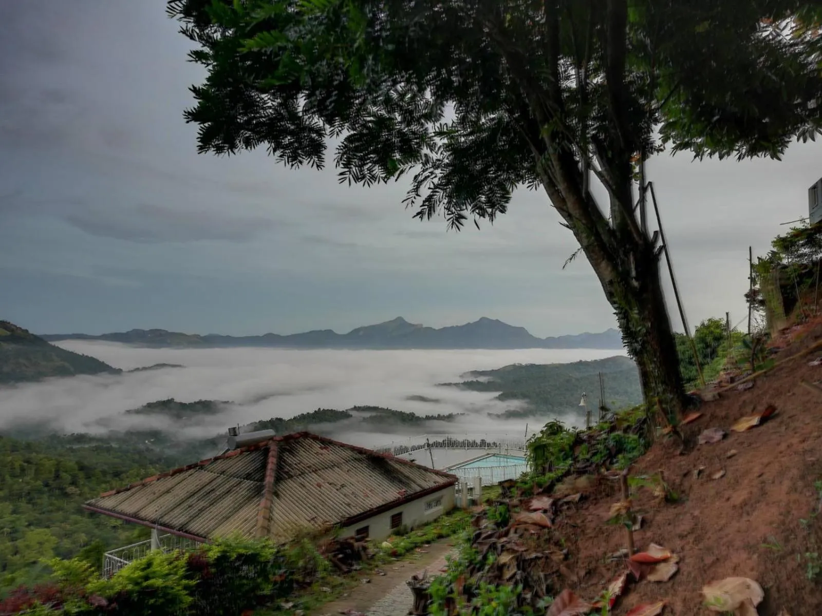 Natural landscape in Green View Holiday Resort