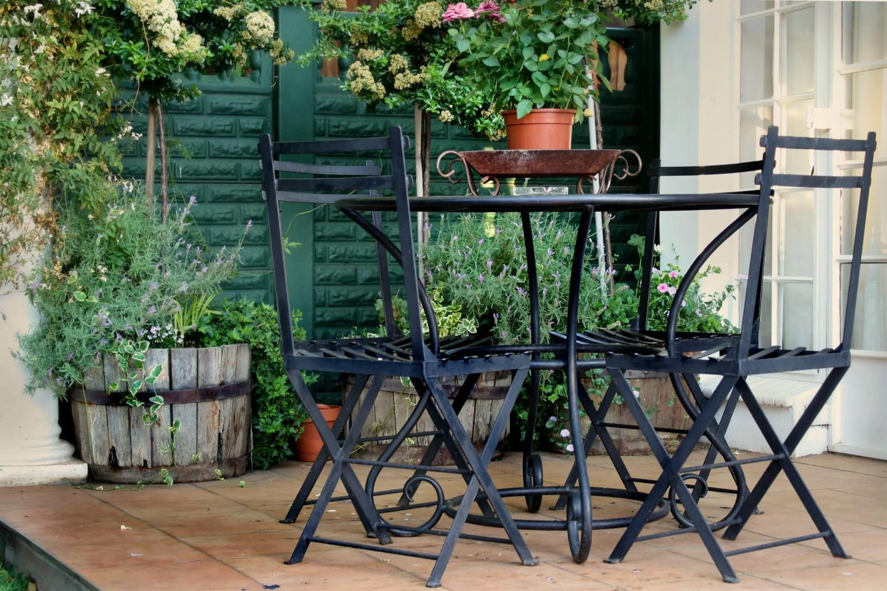 Garden in Lemon & Lime Guesthouse