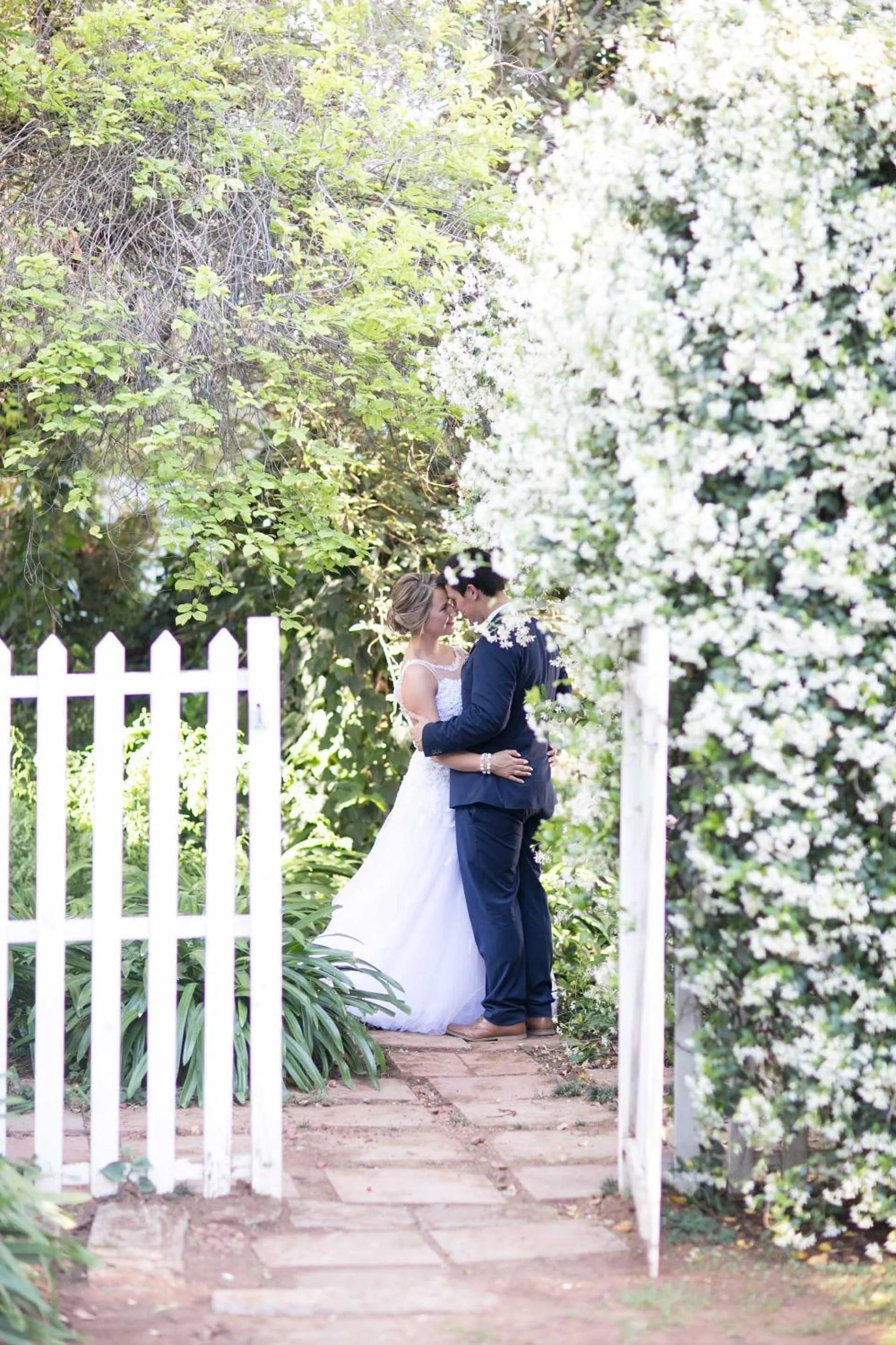 Garden in Lemon & Lime Guesthouse