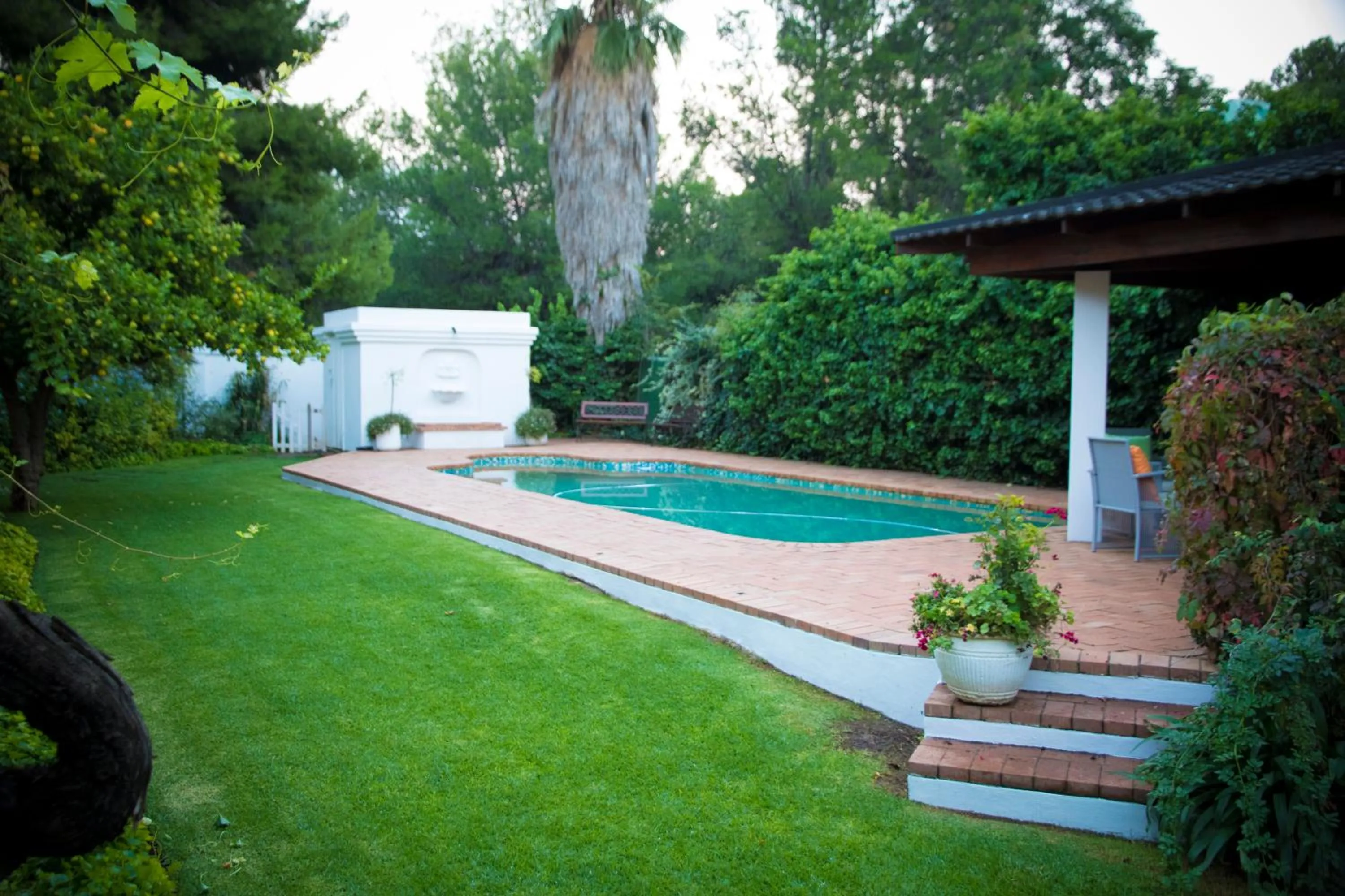 Swimming pool in Lemon & Lime Guesthouse