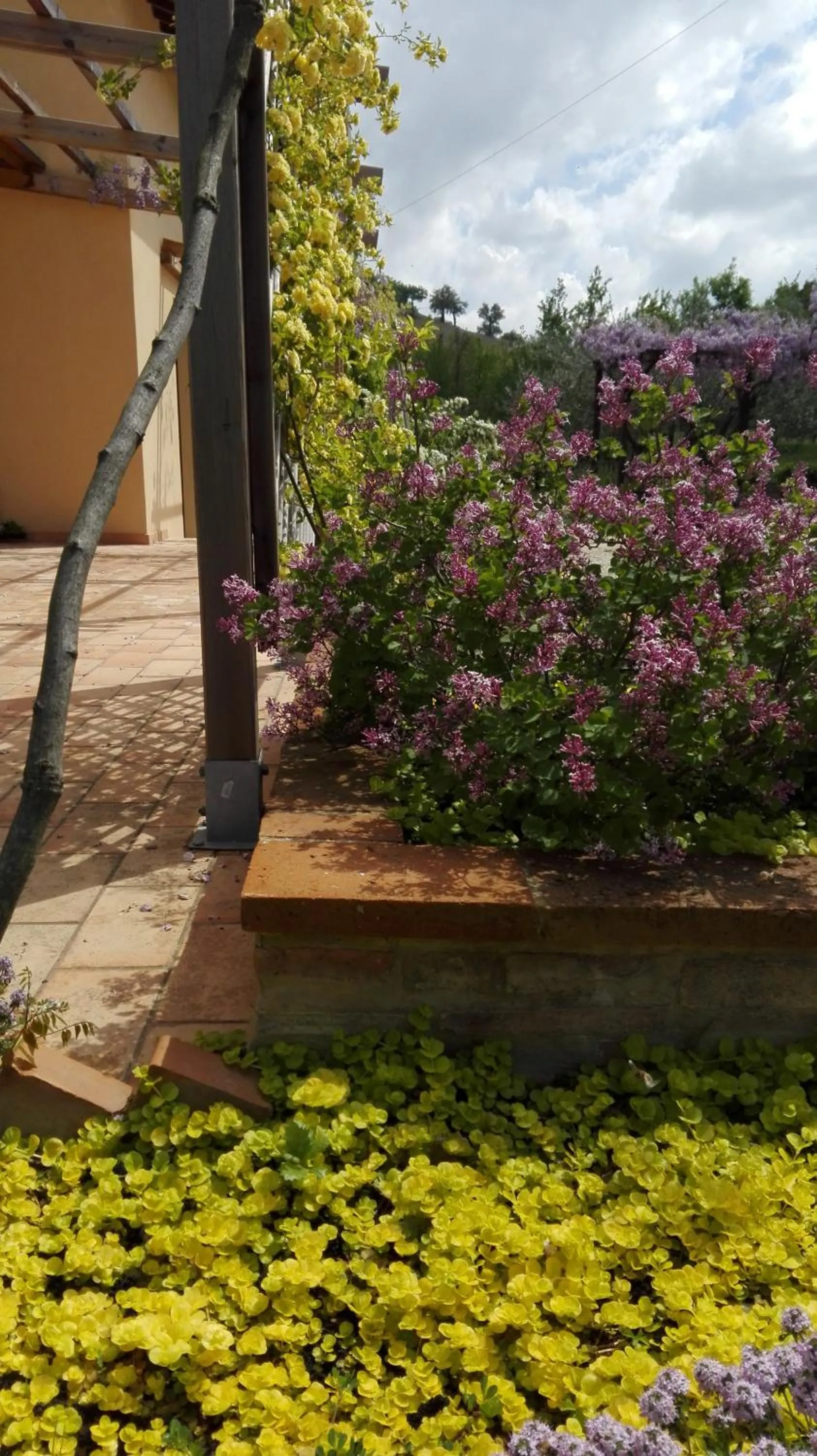 Garden in B&B Antegiano