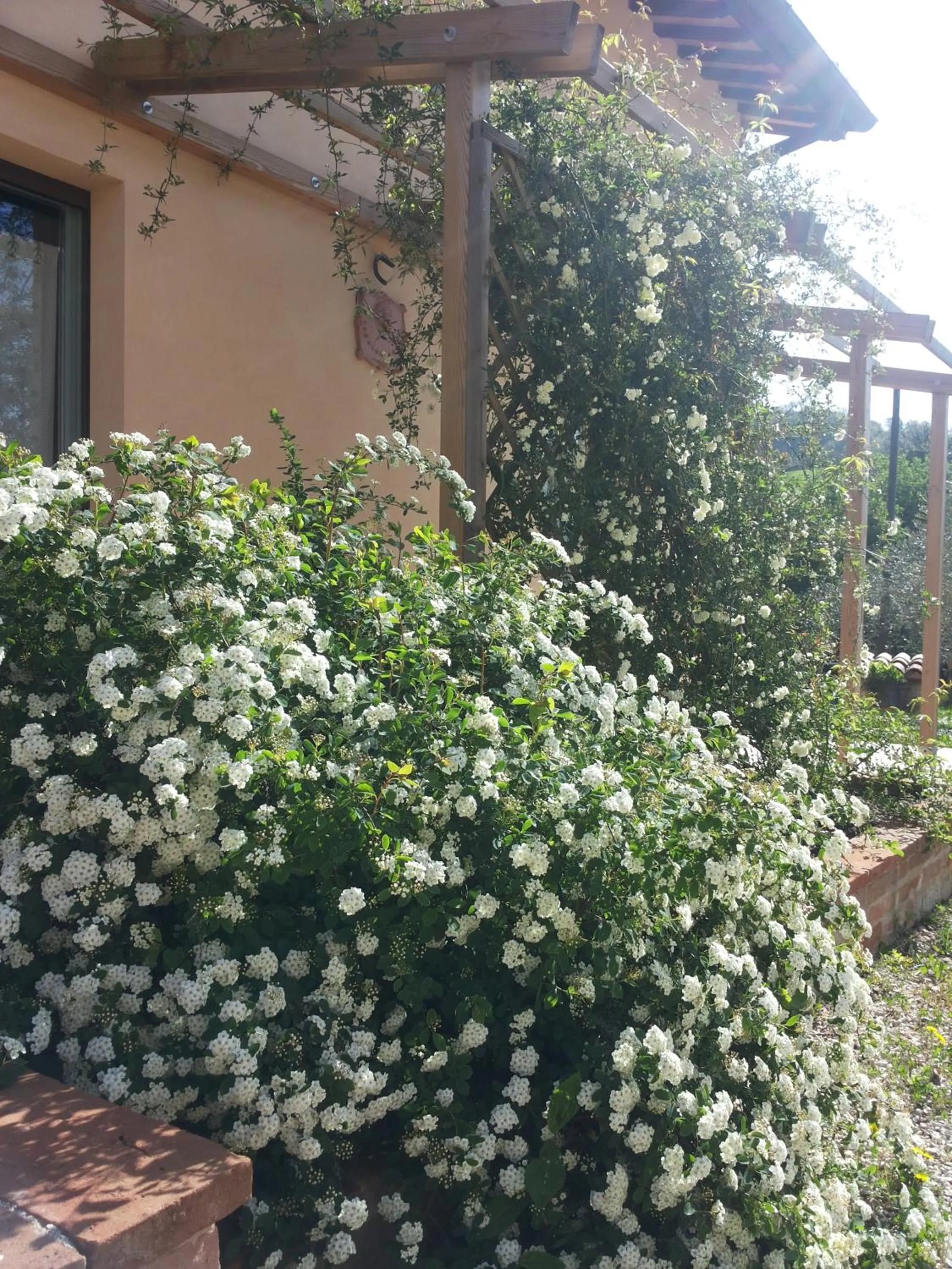 Spring in B&B Antegiano