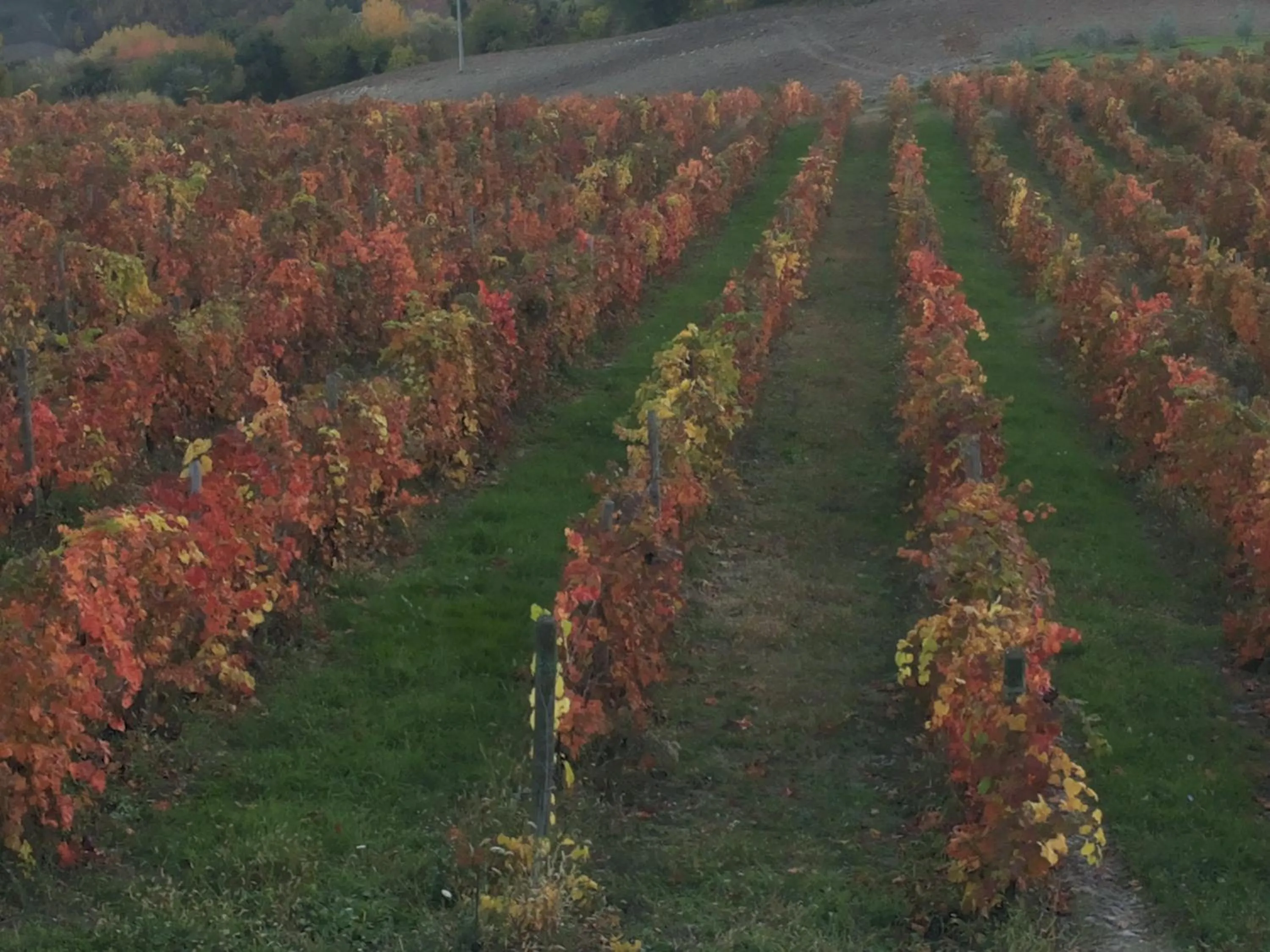 Nearby landmark in B&B Antegiano