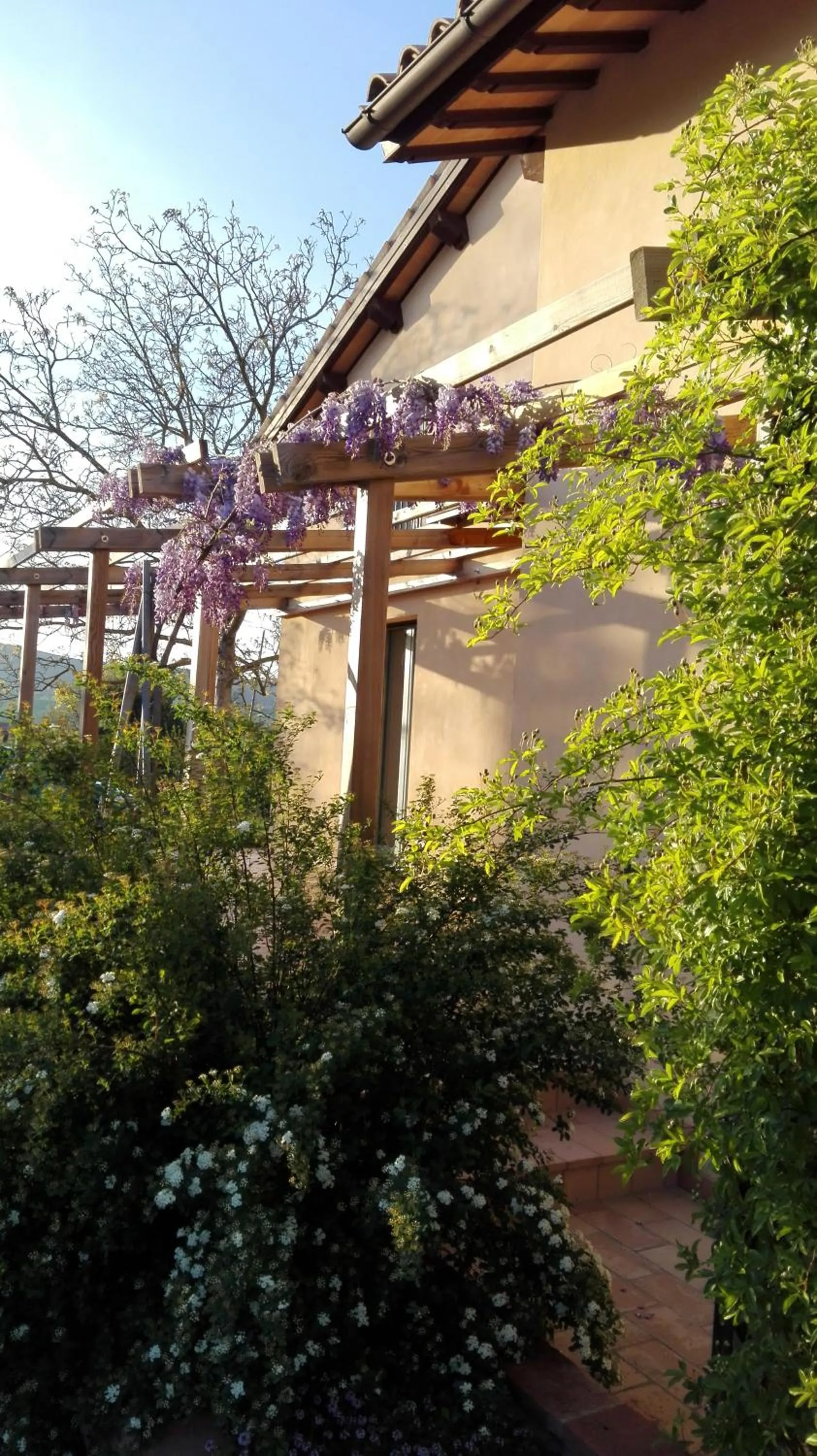 Property building in B&B Antegiano