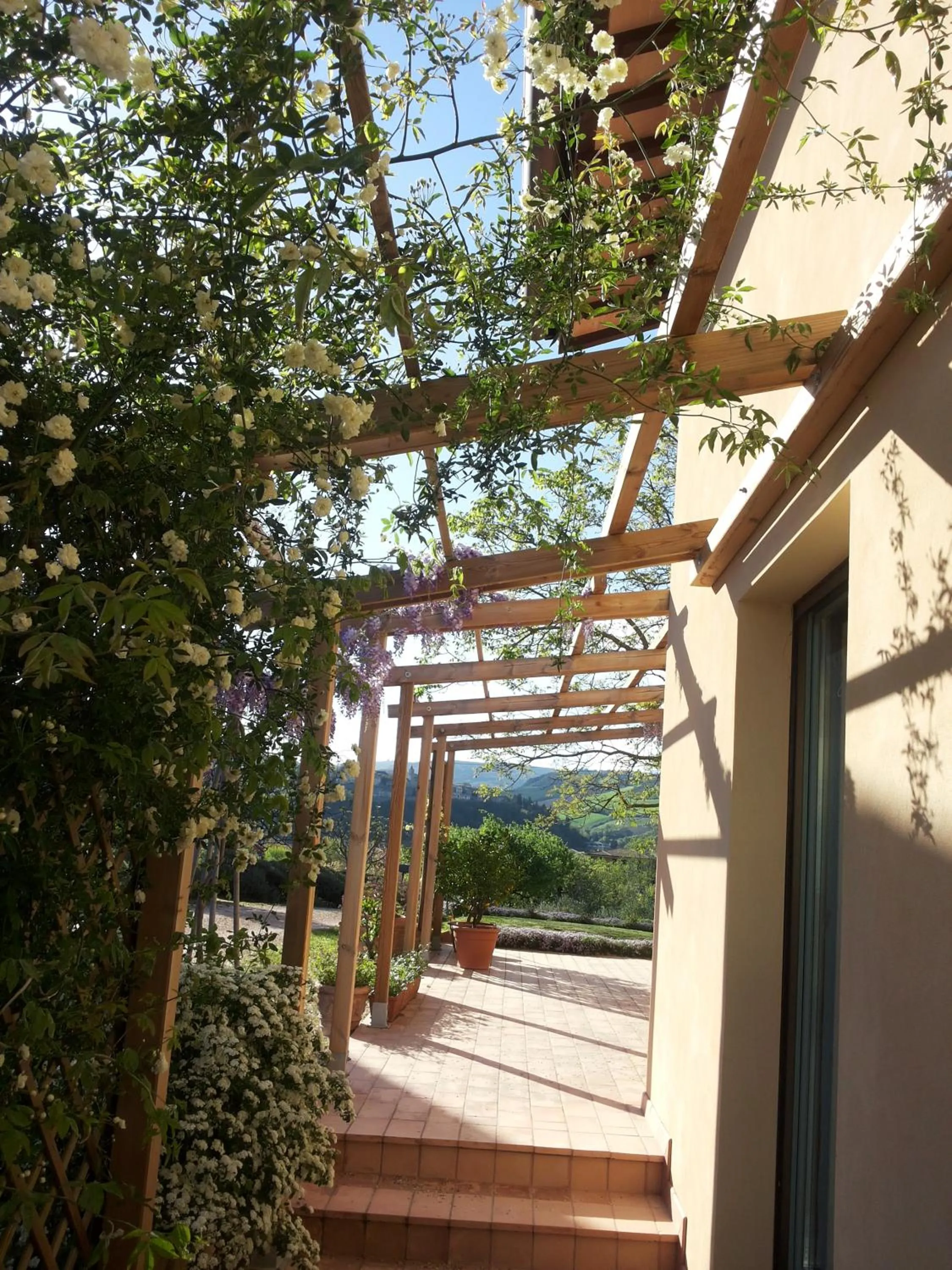 Patio in B&B Antegiano