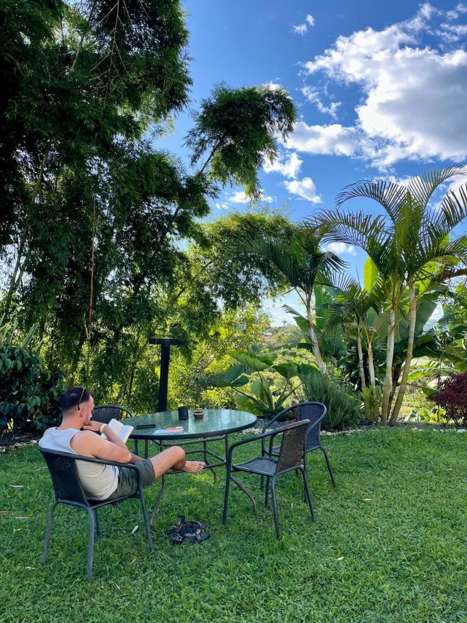 Natural landscape in Coffee Tree Boutique Hostel