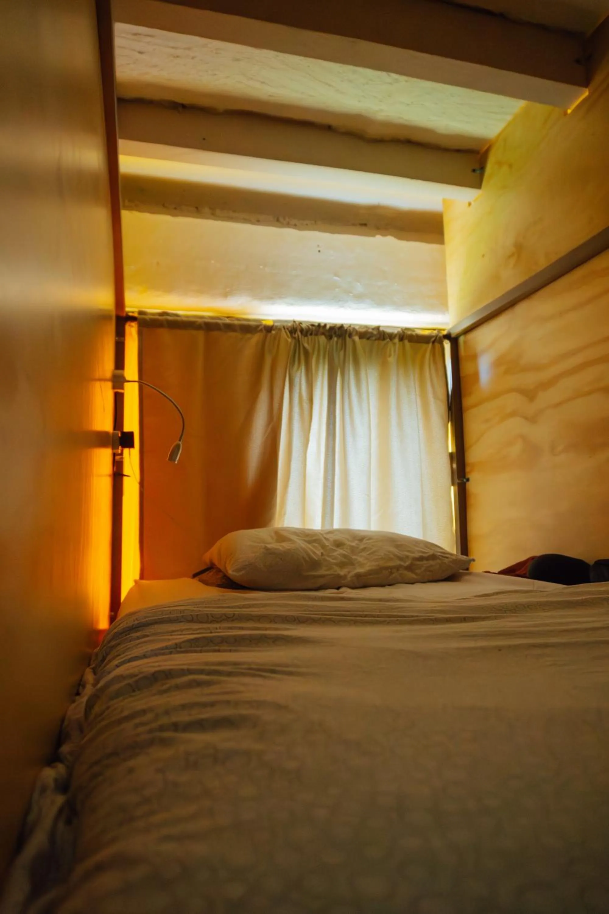 Bed in Coffee Tree Boutique Hostel