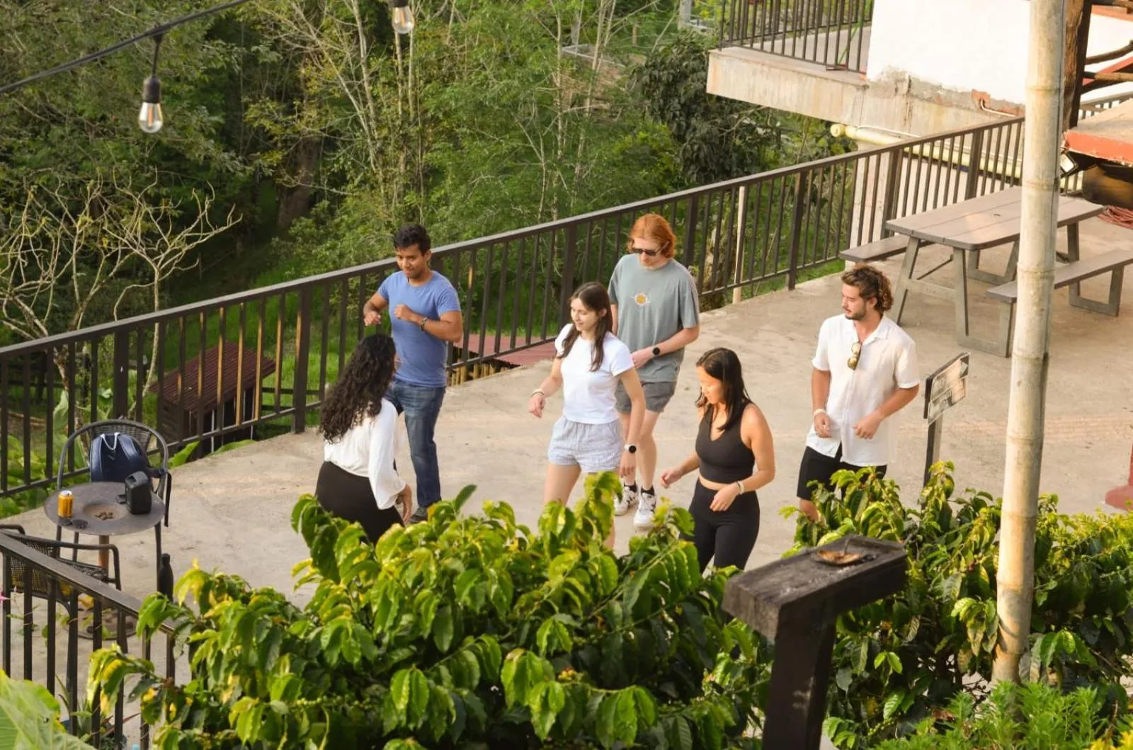 Activities in Coffee Tree Boutique Hostel