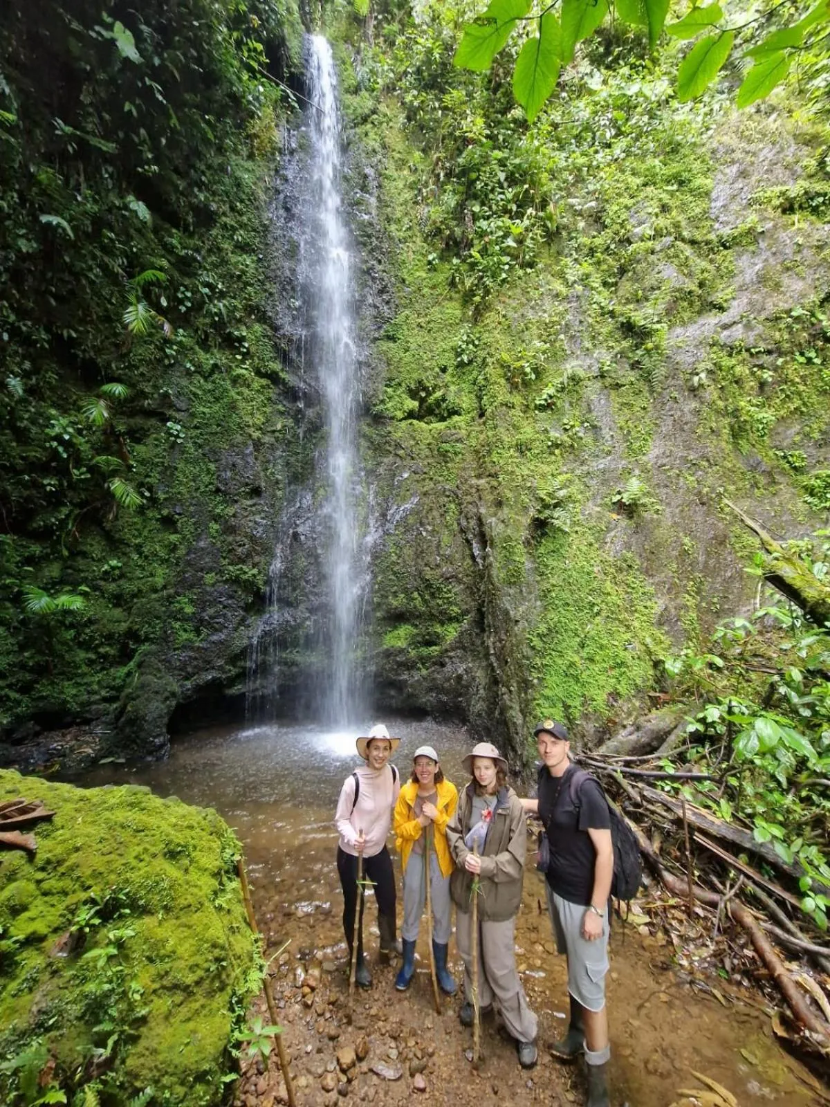 Activities in Coffee Tree Boutique Hostel